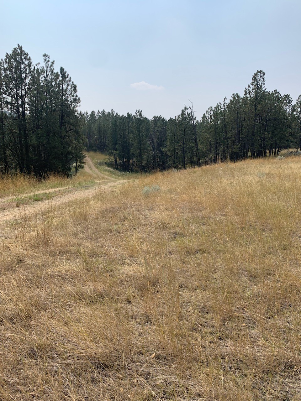 3224 79 Trail Road Property Photo 31