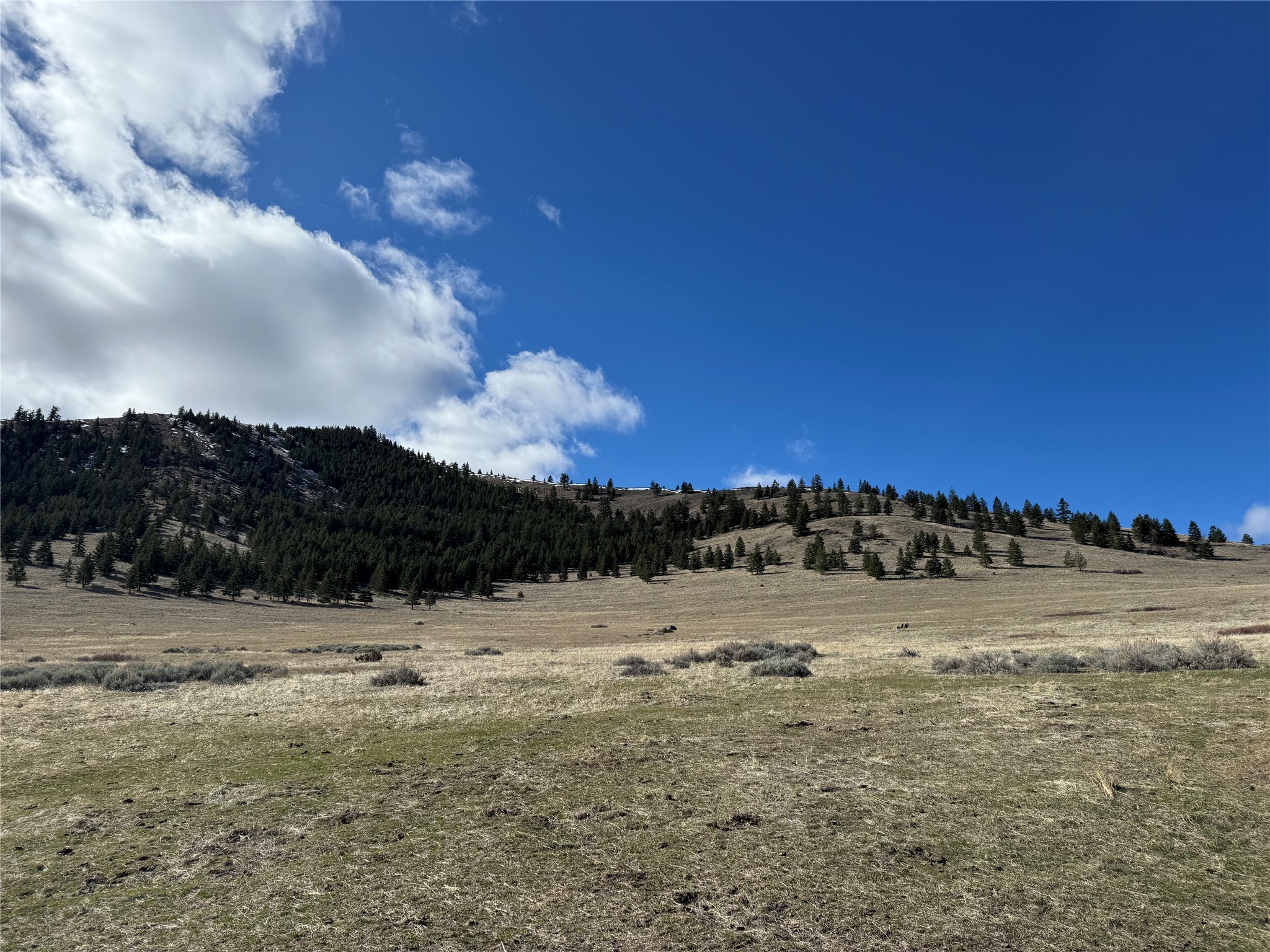Nhn Wilks Gulch Road Property Photo 1