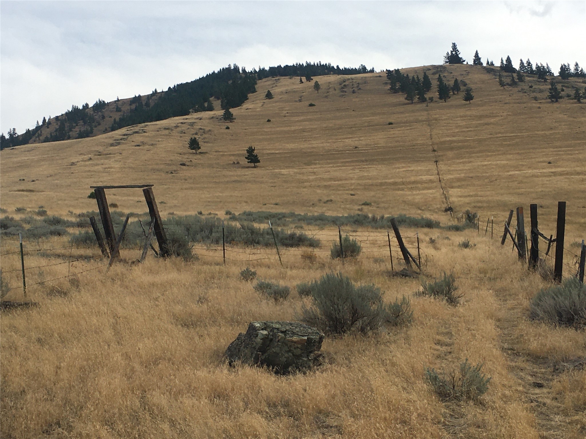 Nhn Wilks Gulch Road Property Photo 3