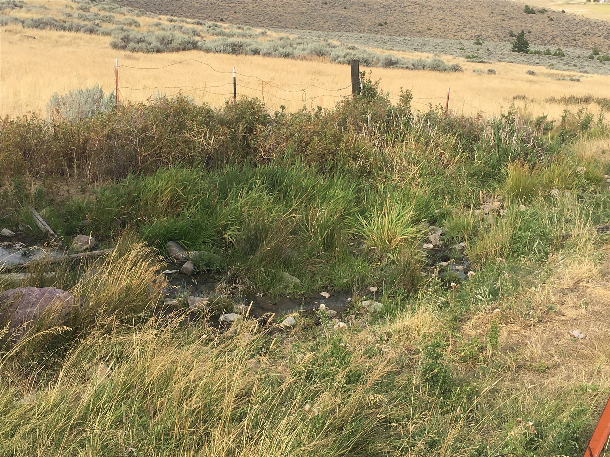 Nhn Wilks Gulch Road Property Photo 6