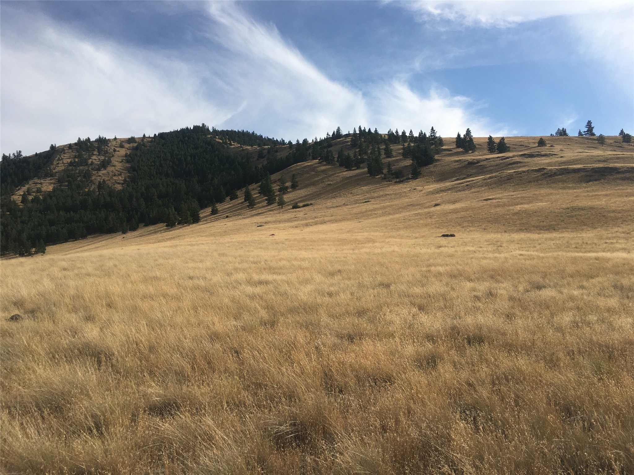 Nhn Wilks Gulch Road Property Photo 7