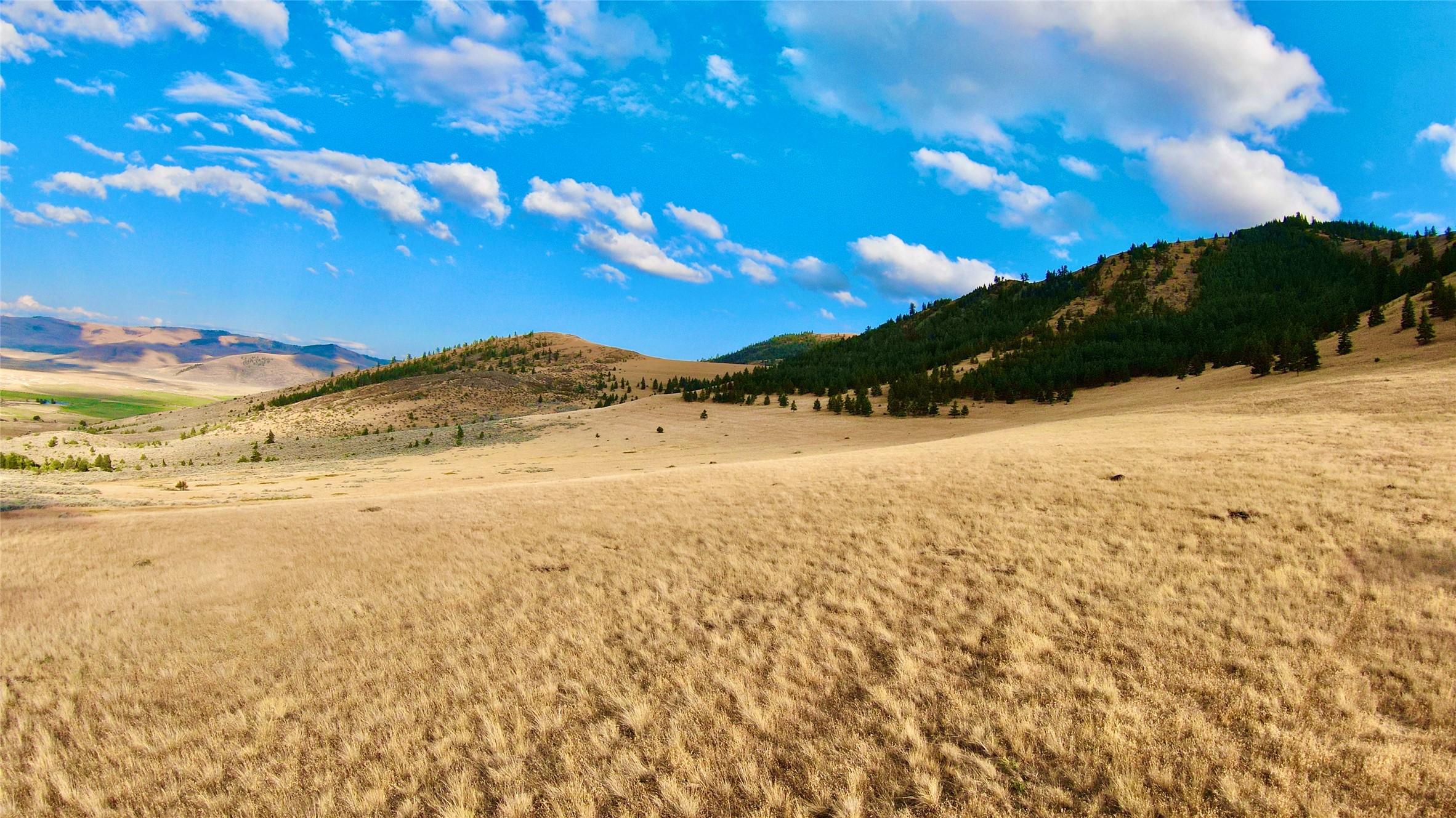 Nhn Wilks Gulch Road Property Photo 8