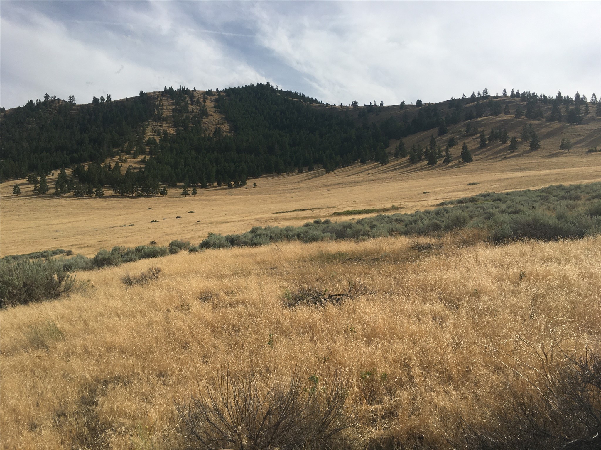 Nhn Wilks Gulch Road Property Photo 9