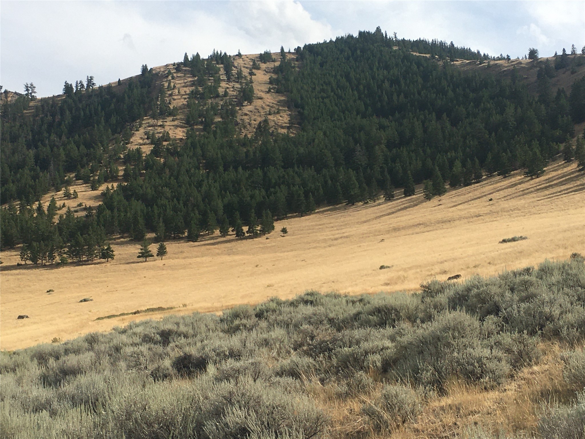 Nhn Wilks Gulch Road Property Photo 10