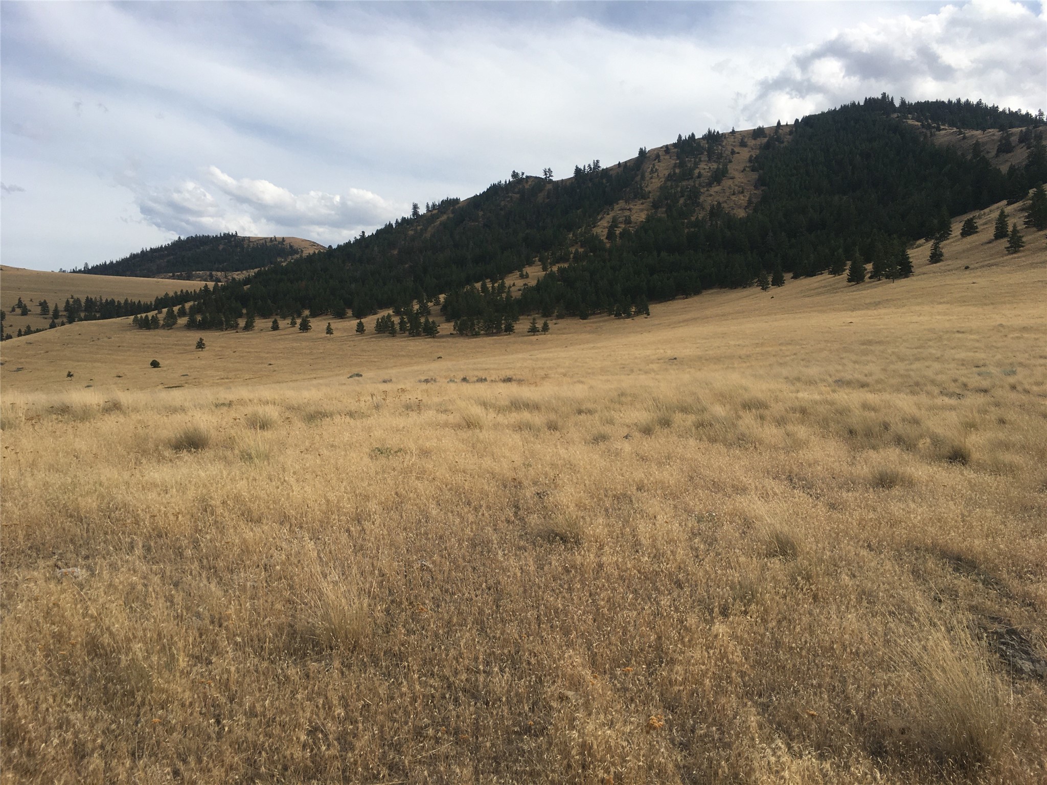 Nhn Wilks Gulch Road Property Photo 11