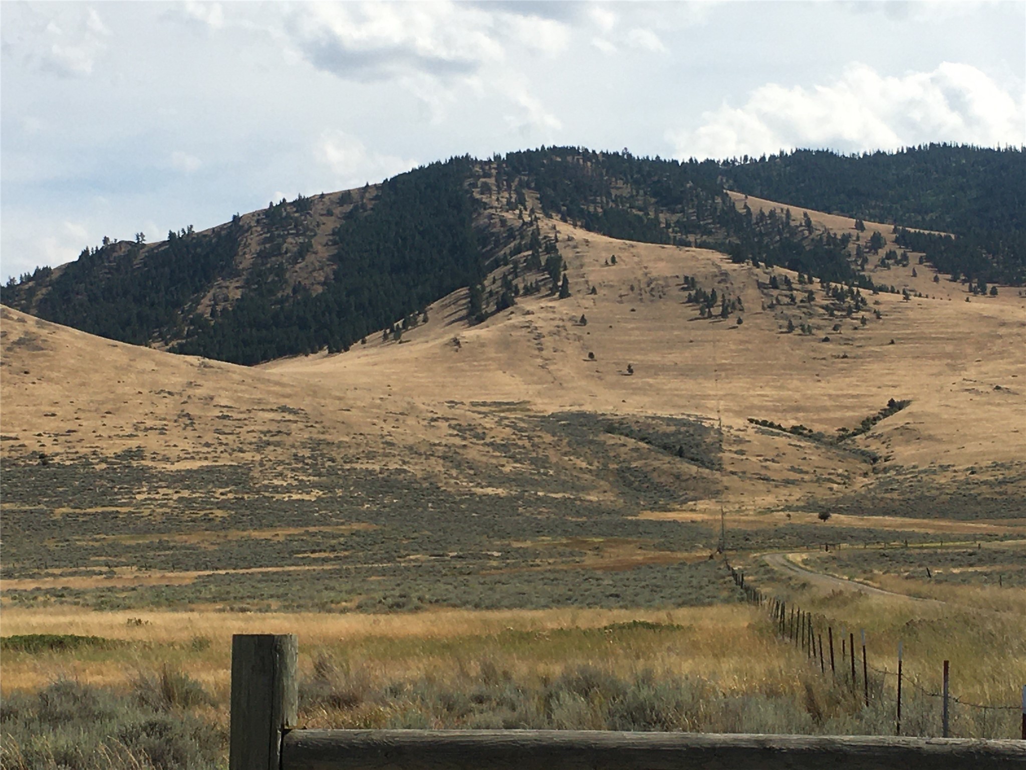 Nhn Wilks Gulch Road Property Photo 13