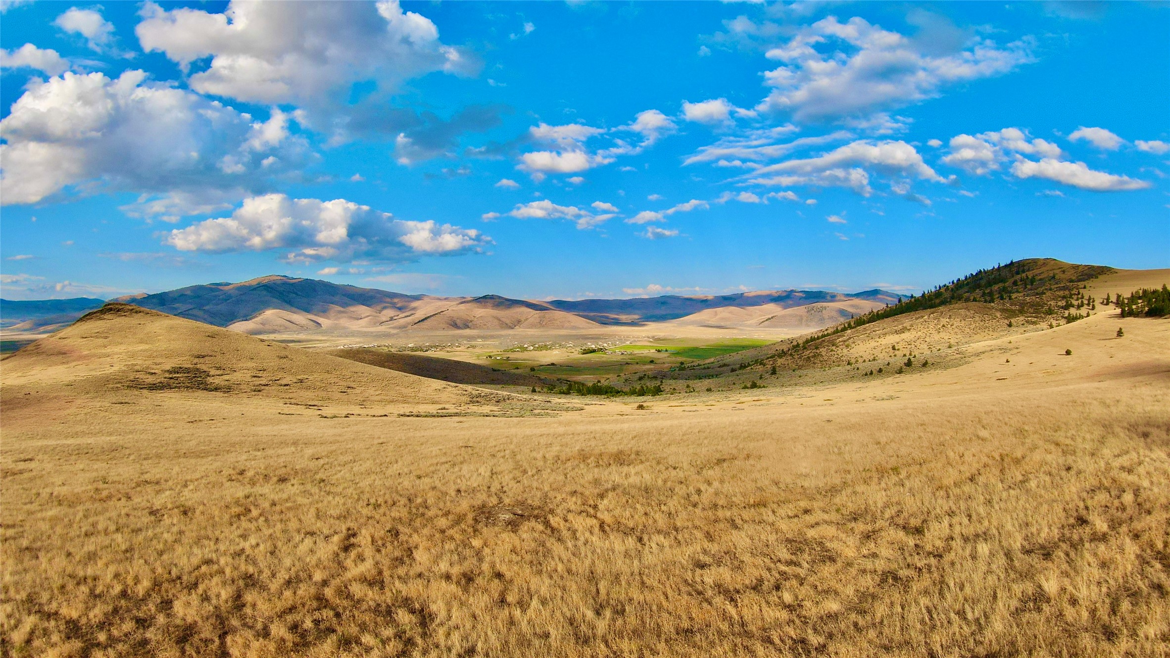Nhn Wilks Gulch Road Property Photo 16