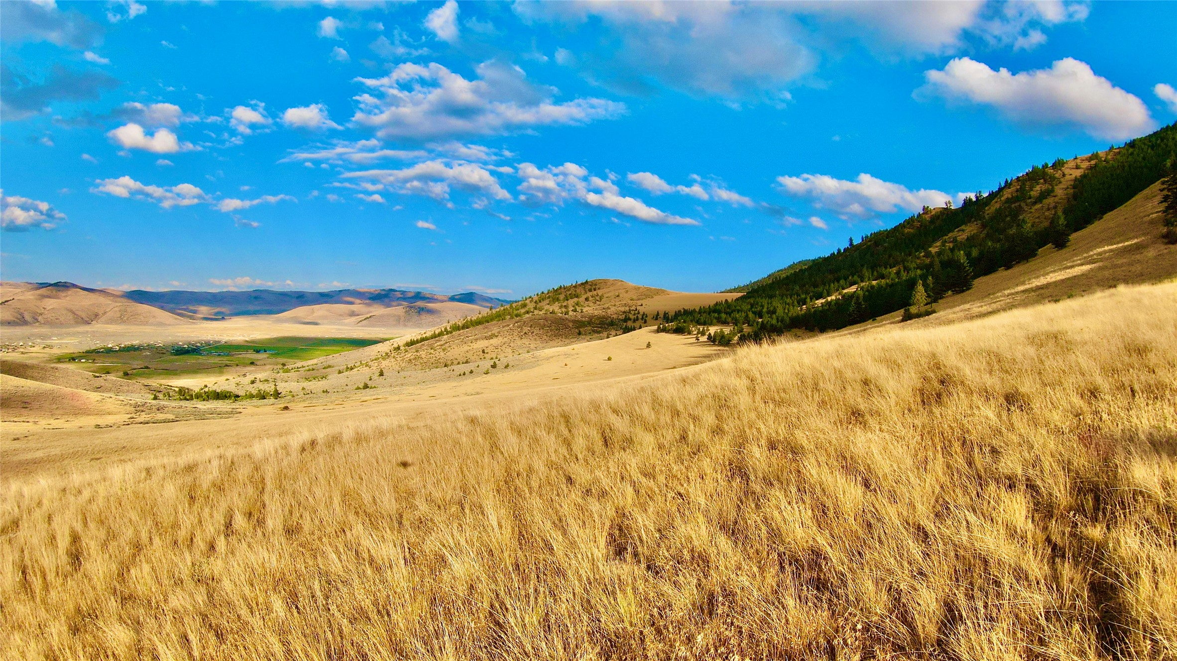 Nhn Wilks Gulch Road Property Photo 17