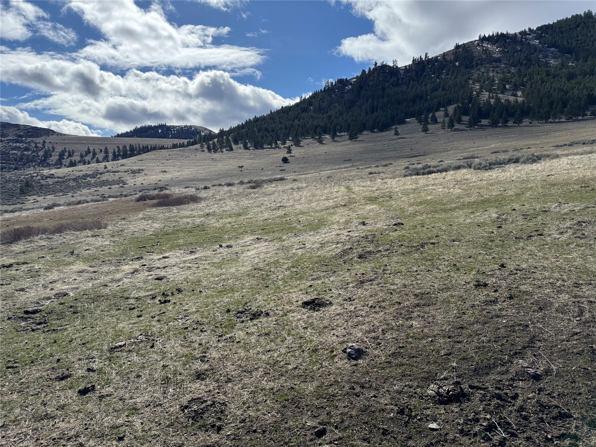 Nhn Wilks Gulch Road Property Photo 21