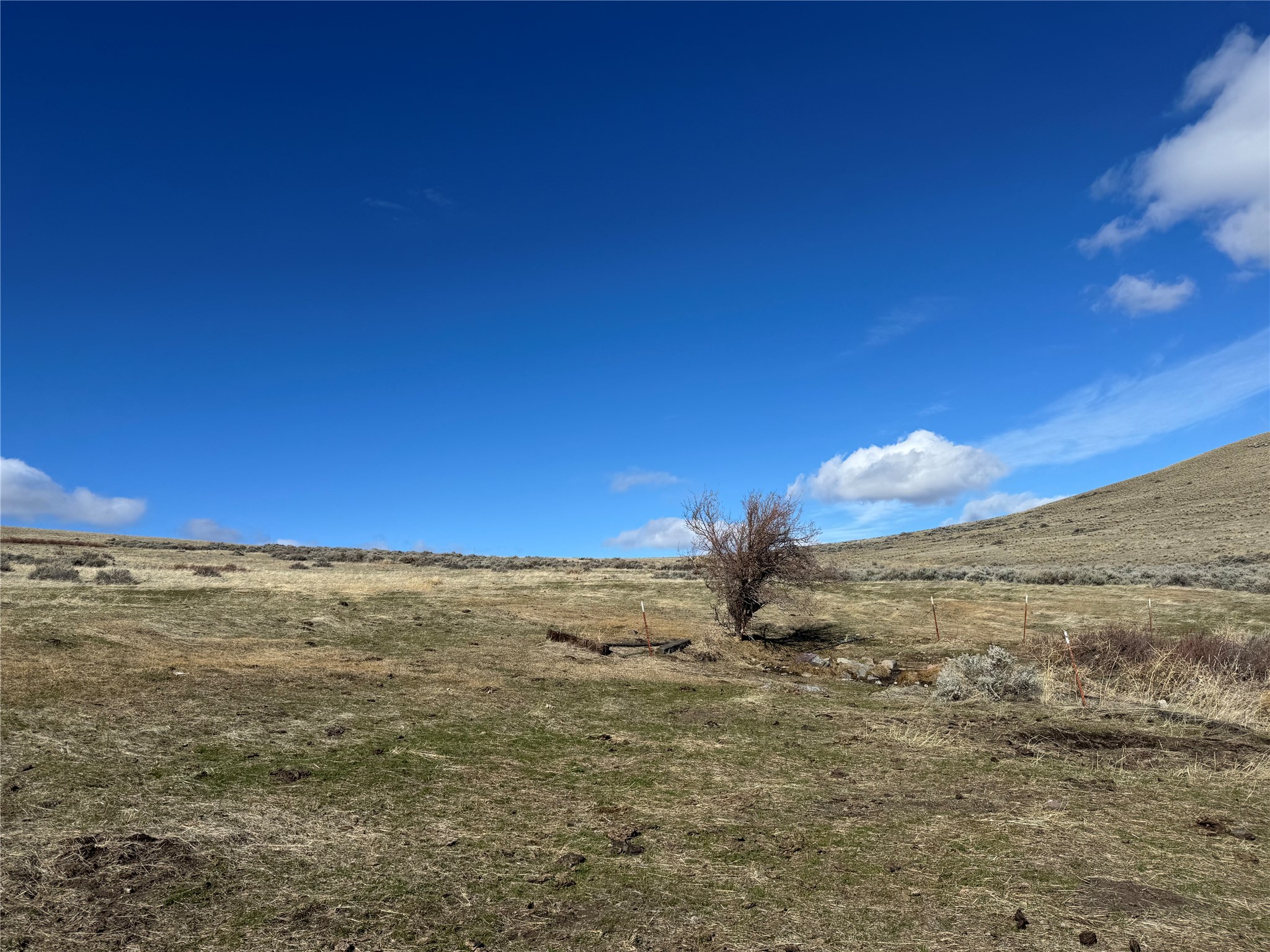 Nhn Wilks Gulch Road Property Photo 23