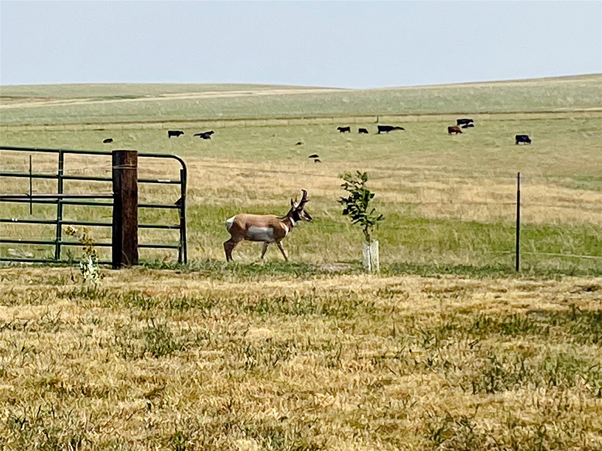 1018 Eden Road Property Photo 108