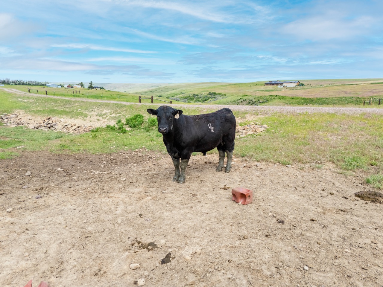 1018 Eden Road Property Photo 111