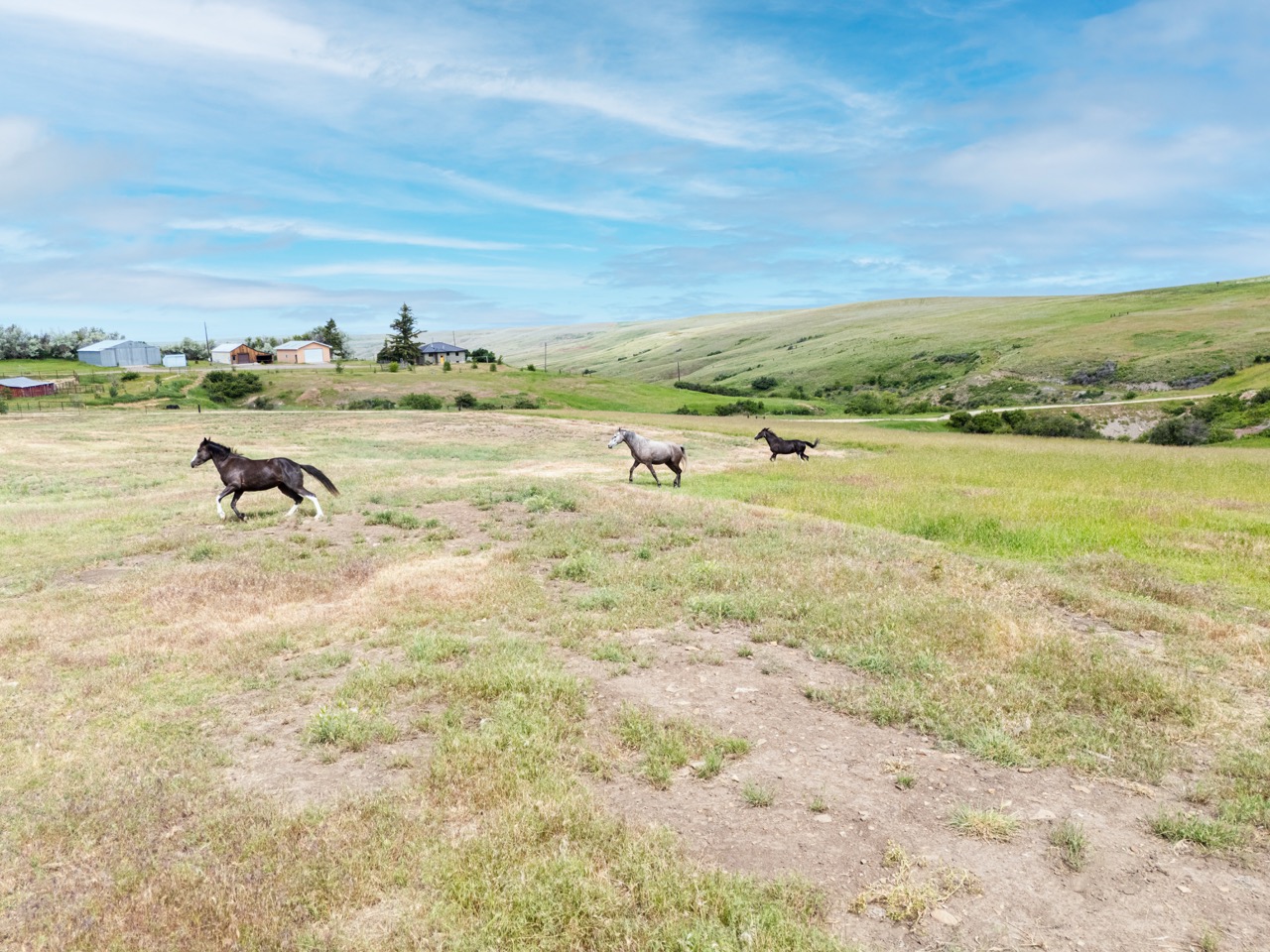 1018 Eden Road Property Photo 112