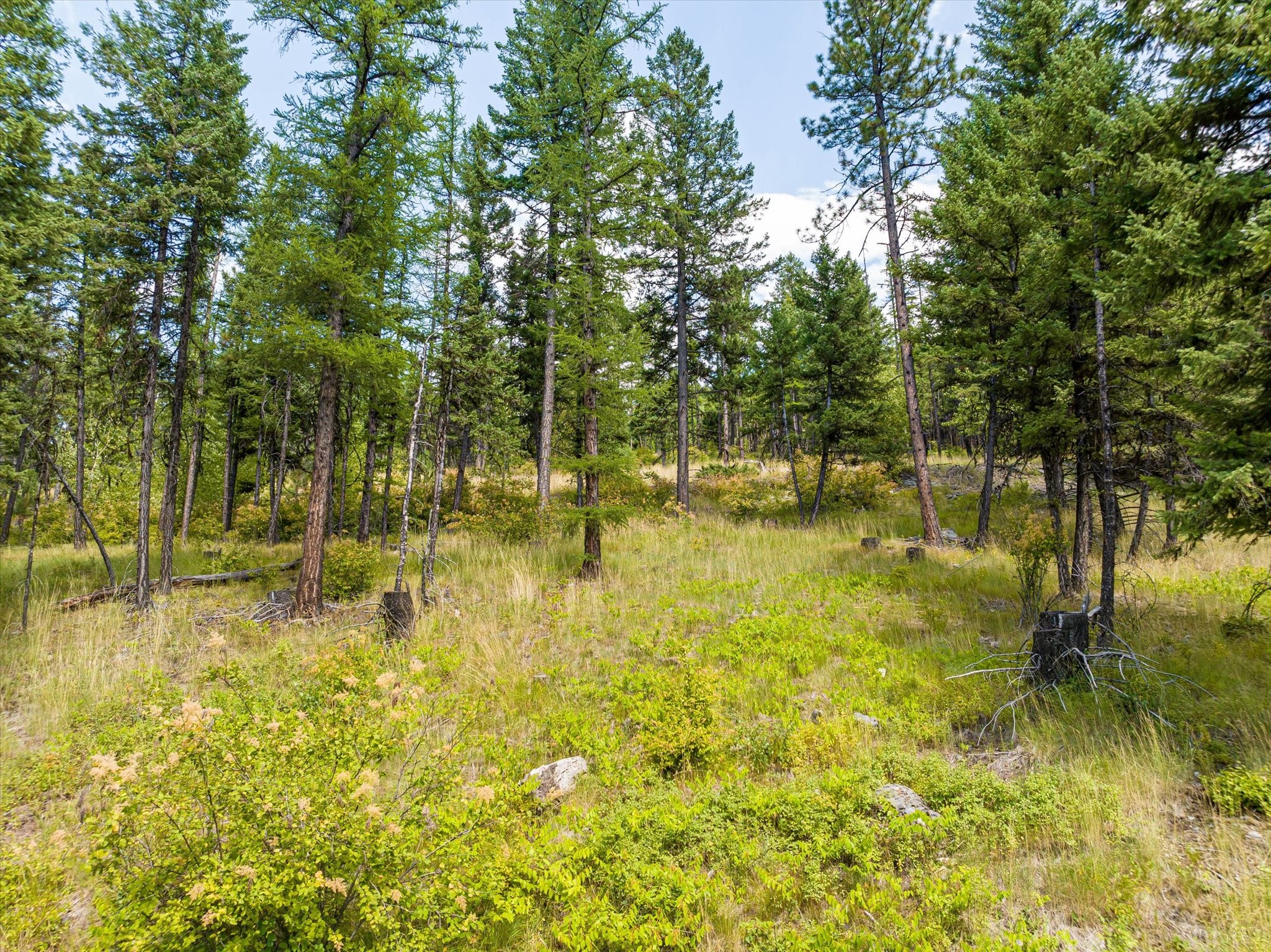 69 Eagle Creek Trail Property Photo 17