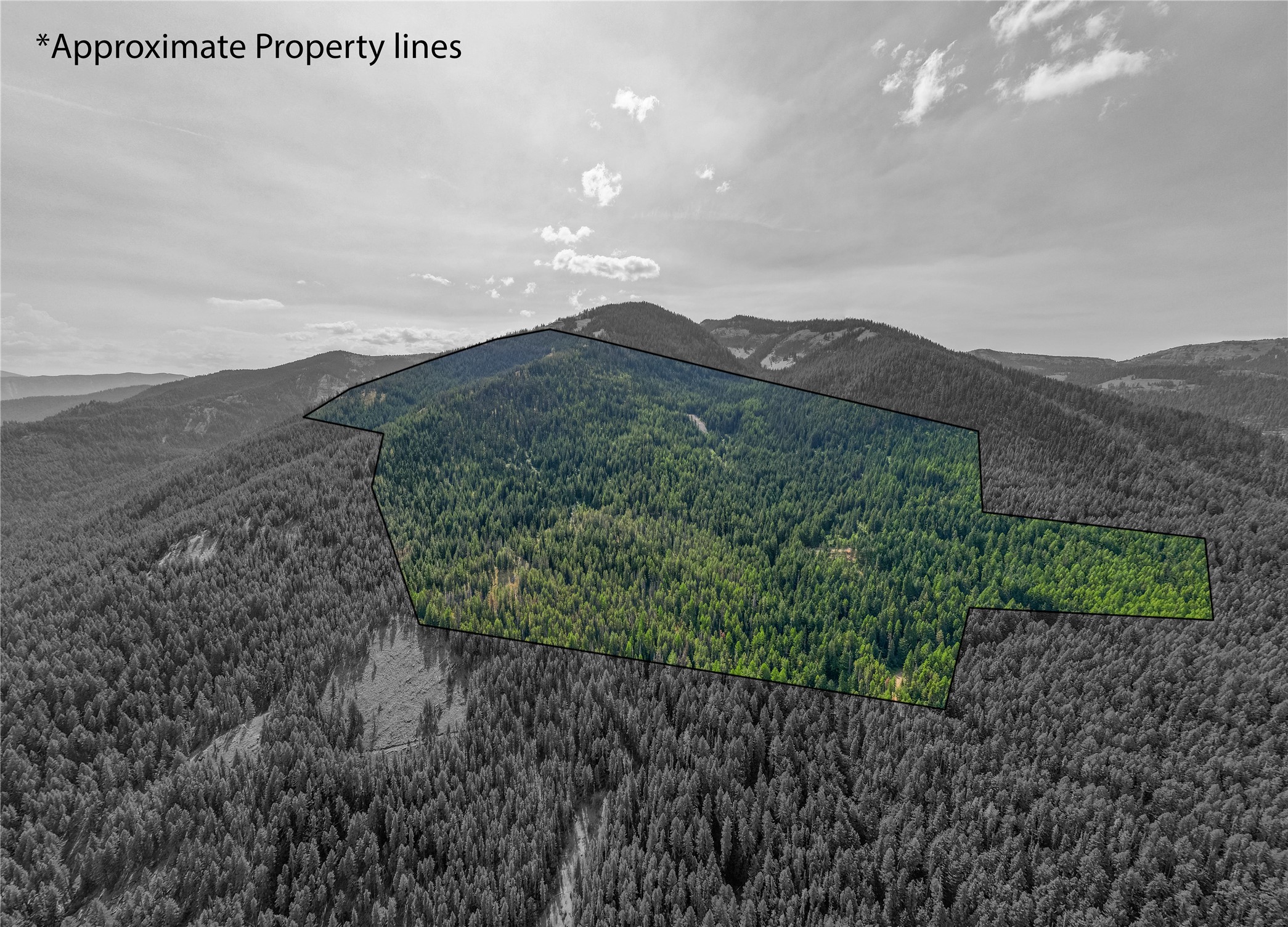 Tbd Nf 2300 Road Property Photo 2