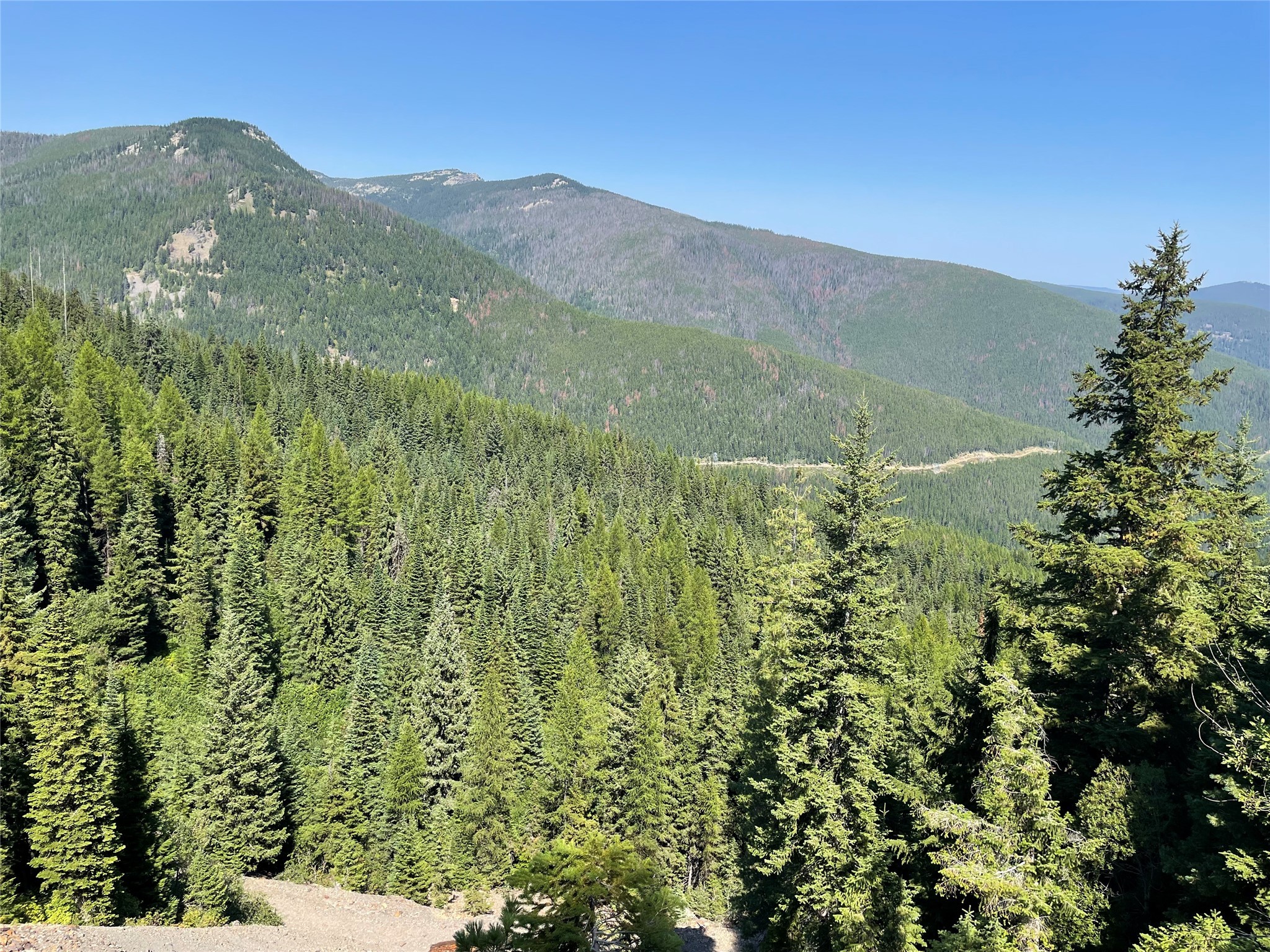 Tbd Nf 2300 Road Property Photo 10
