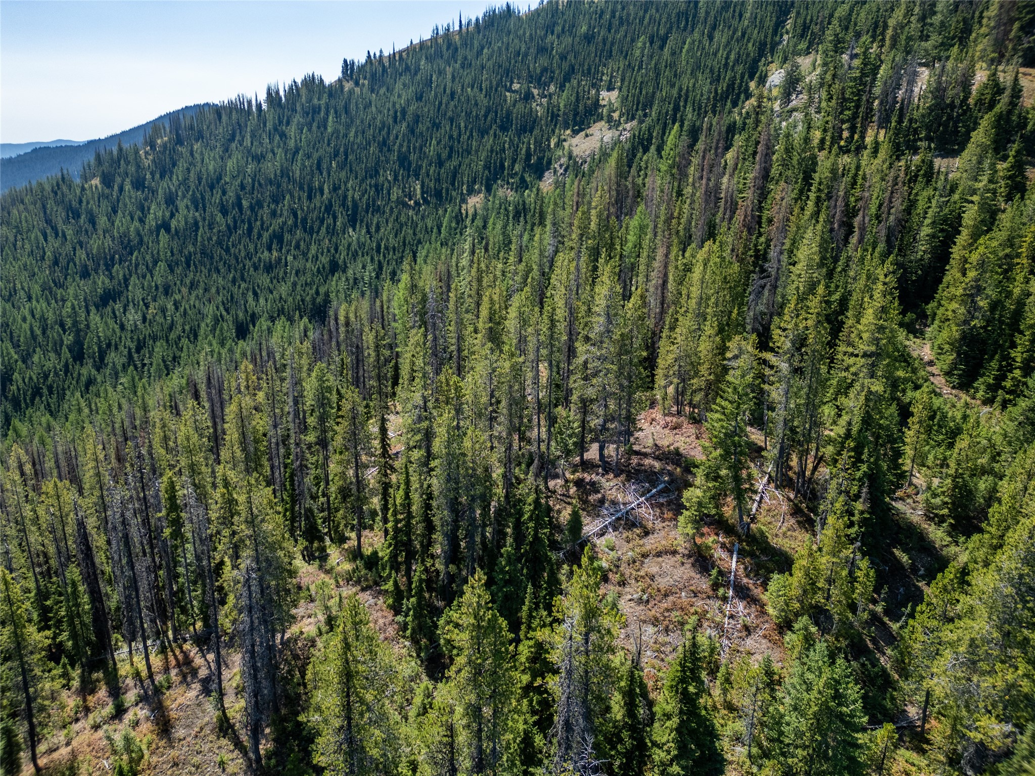 Tbd Nf 2300 Road Property Photo 14