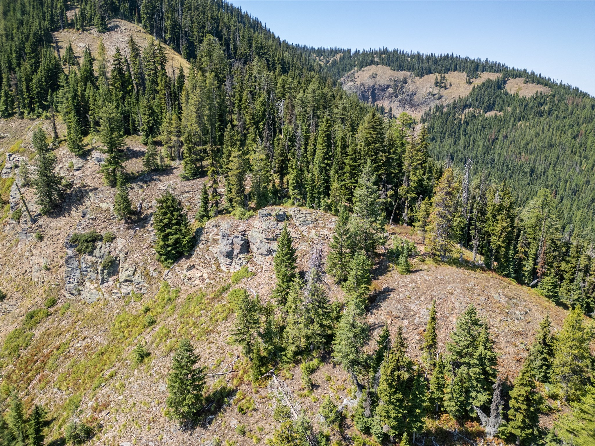 Tbd Nf 2300 Road Property Photo 16
