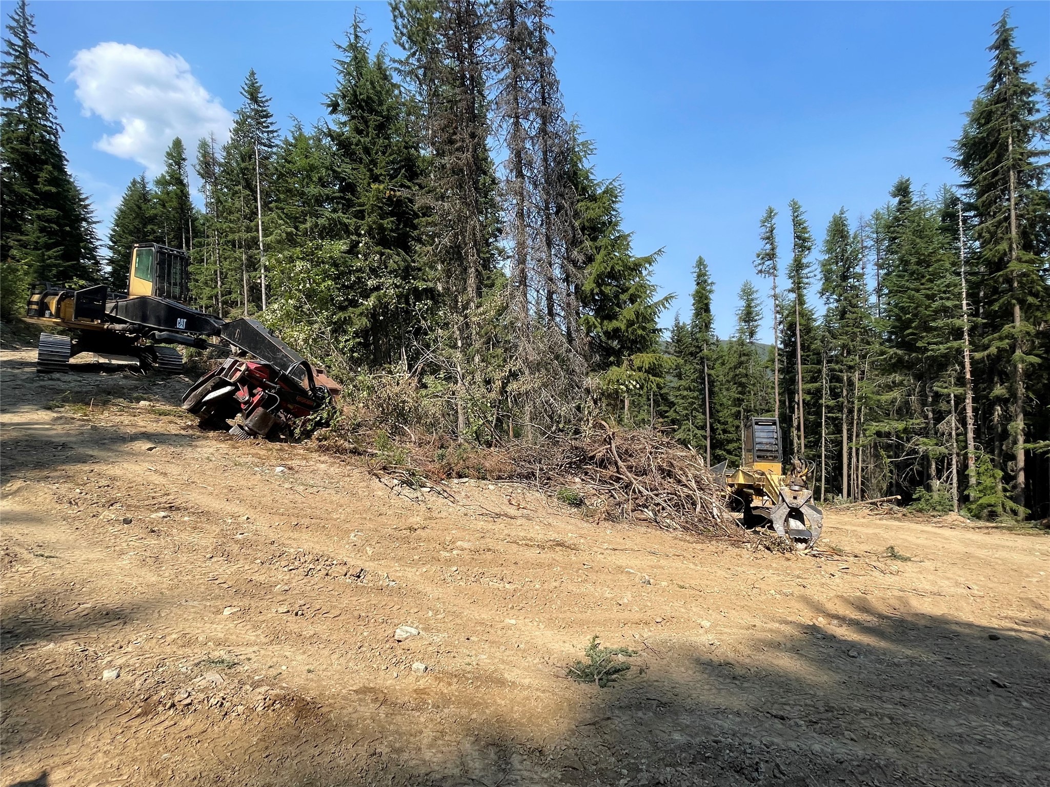 Tbd Nf 2300 Road Property Photo 28