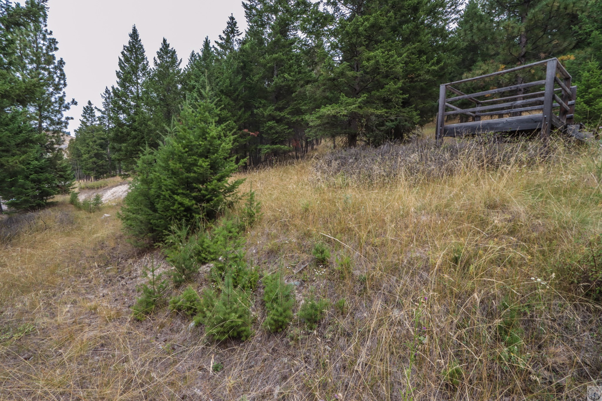 218 Walking Coyote Drive Lot# 68 Property Photo 17