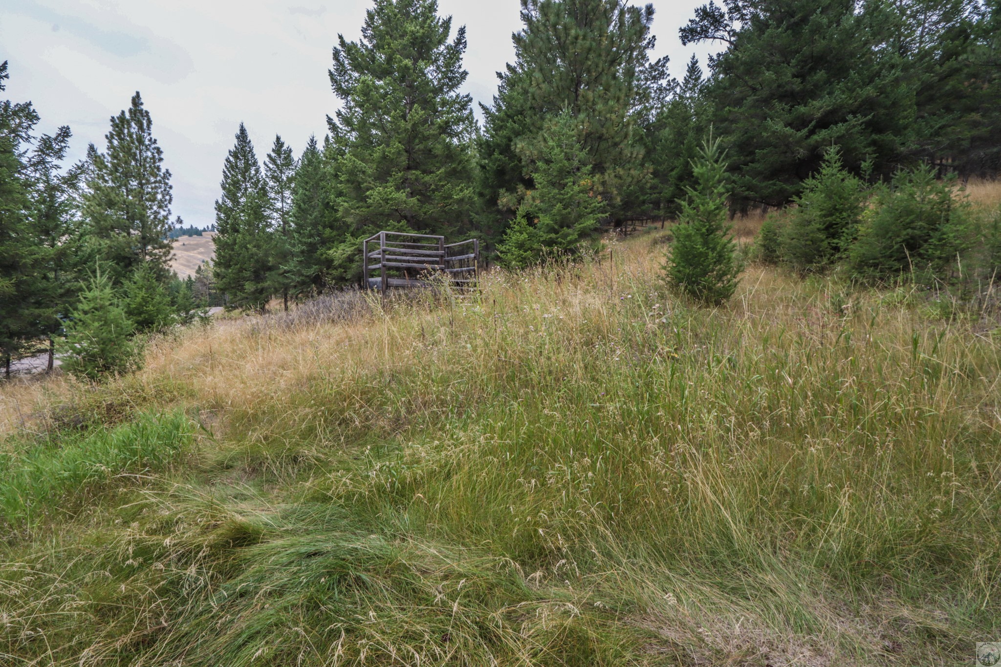 218 Walking Coyote Drive Lot# 68 Property Photo 18