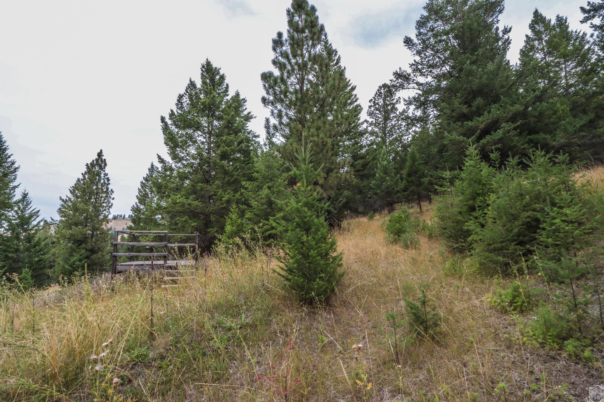 218 Walking Coyote Drive Lot# 68 Property Photo 19