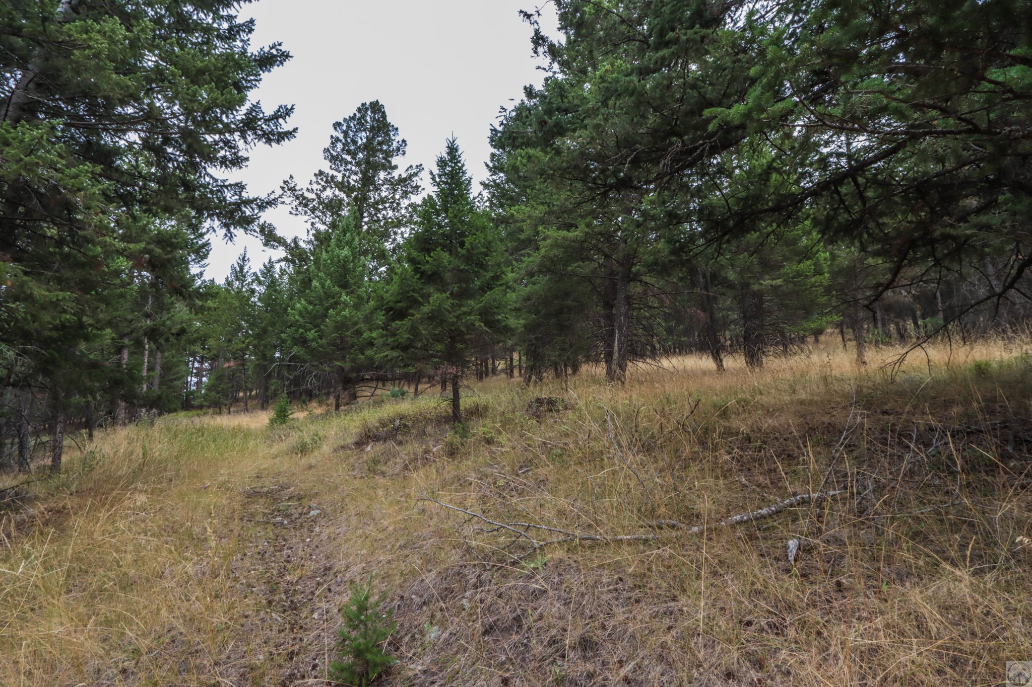218 Walking Coyote Drive Lot# 68 Property Photo 21