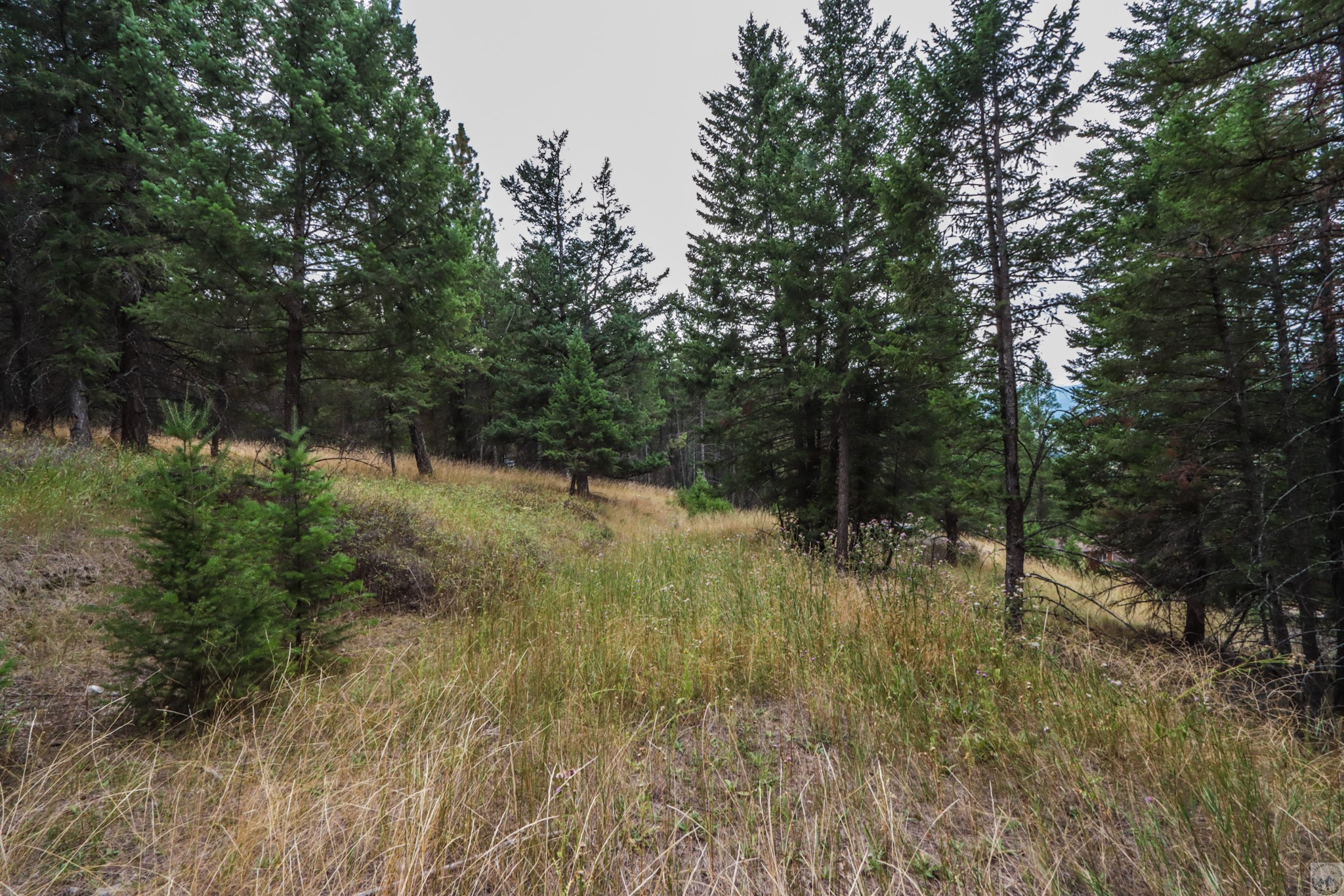 218 Walking Coyote Drive Lot# 68 Property Photo 23