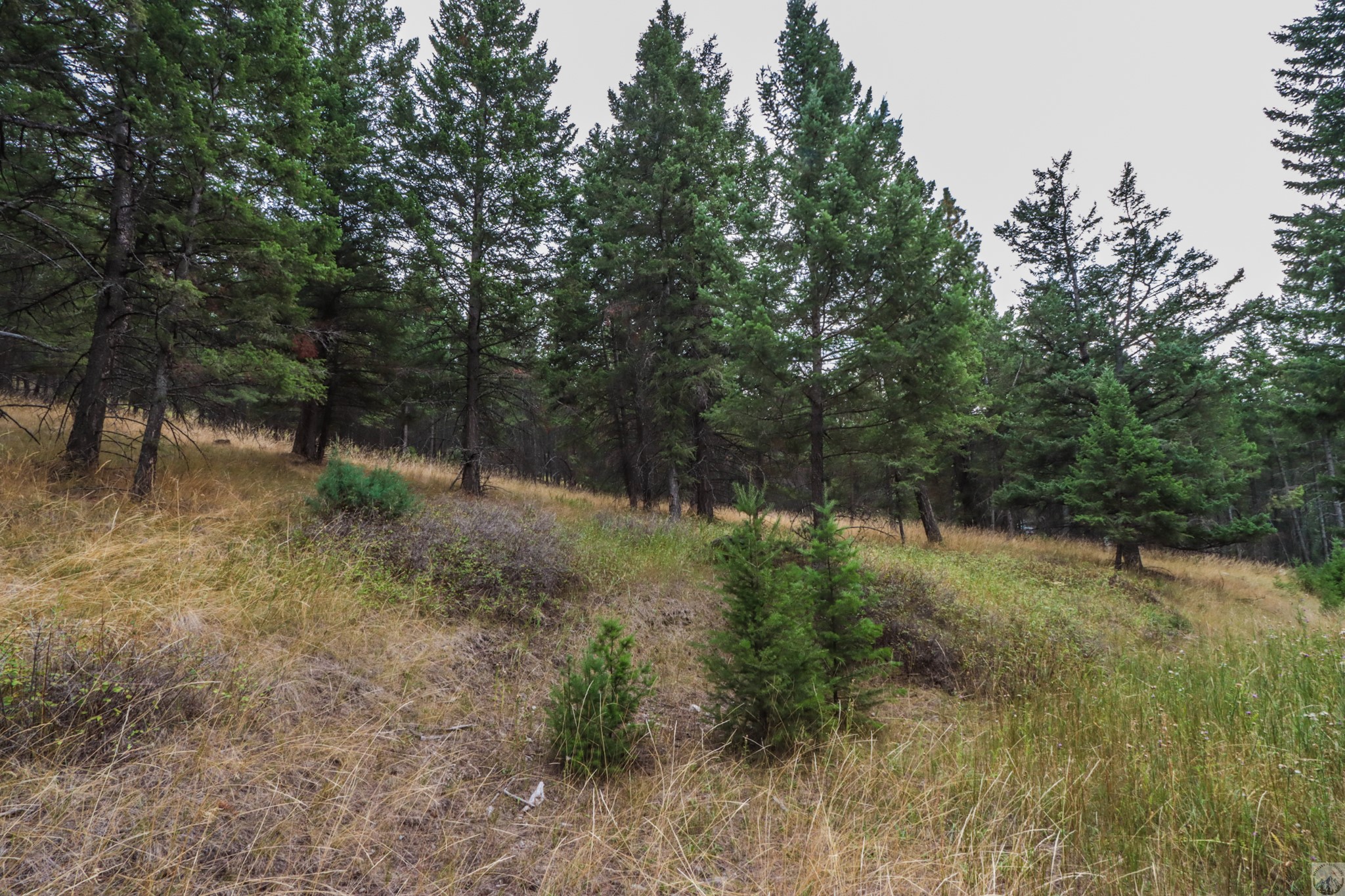218 Walking Coyote Drive Lot# 68 Property Photo 23