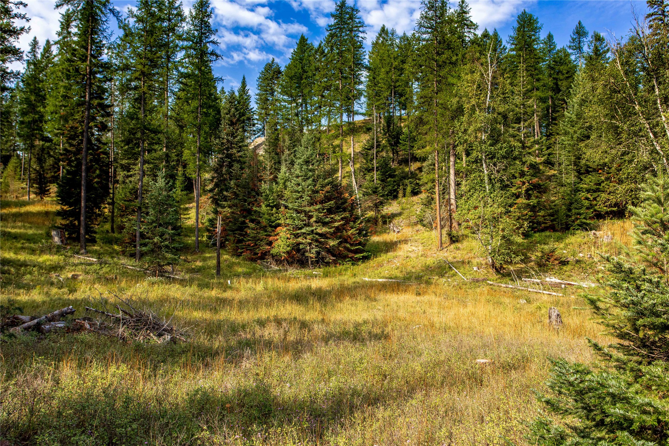 518 Bachelor Grade Property Photo 1