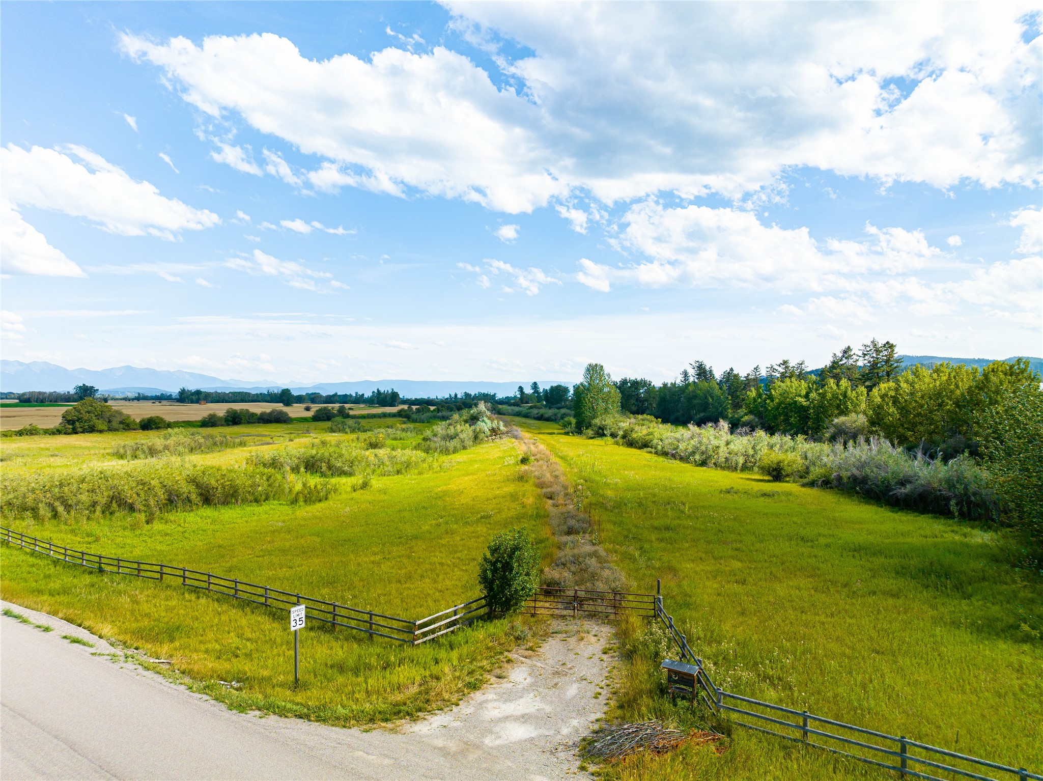 1203 Pheasant Hollow Way Property Photo 4