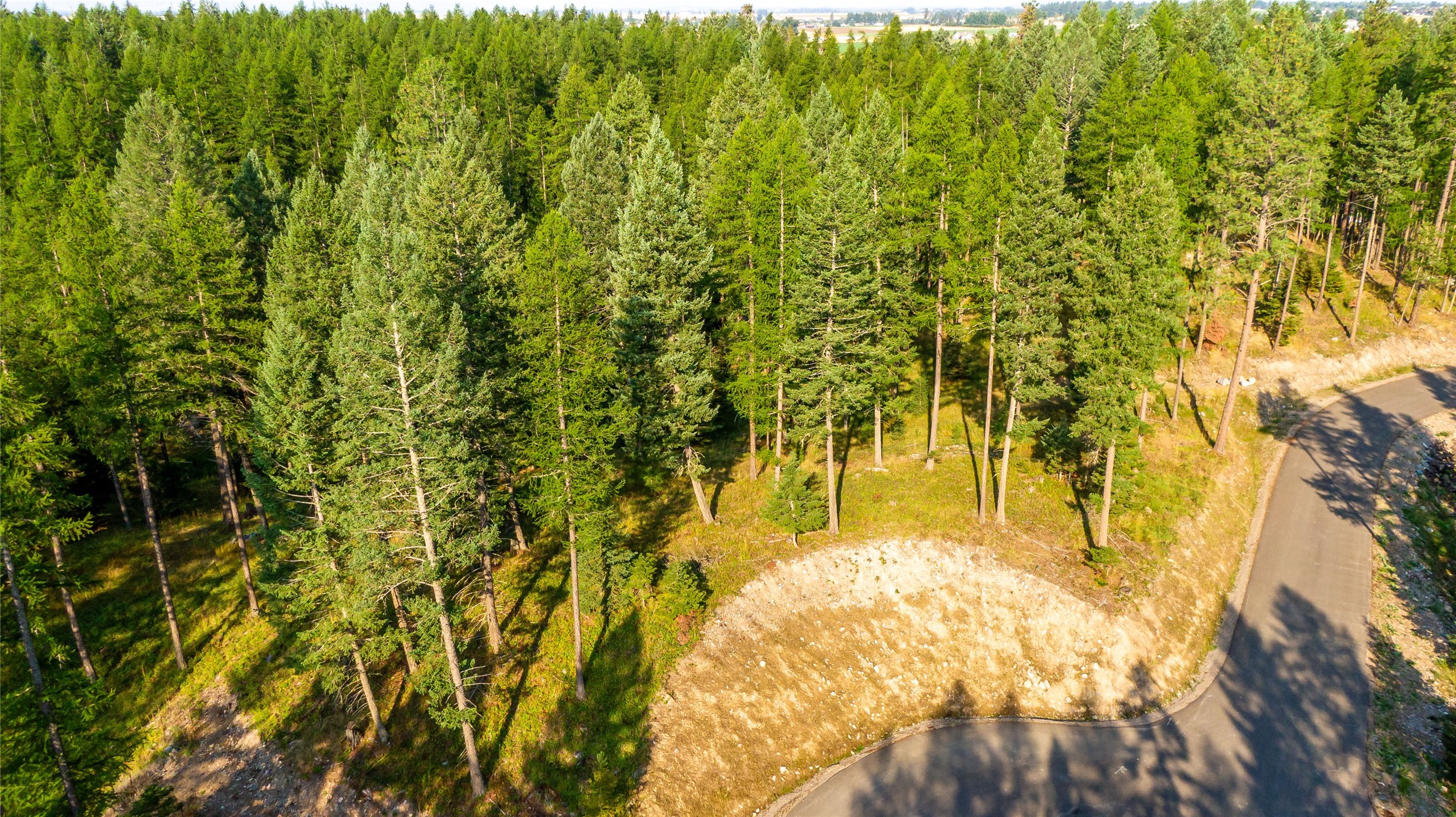 52 Meadow Mint Way Property Photo 1