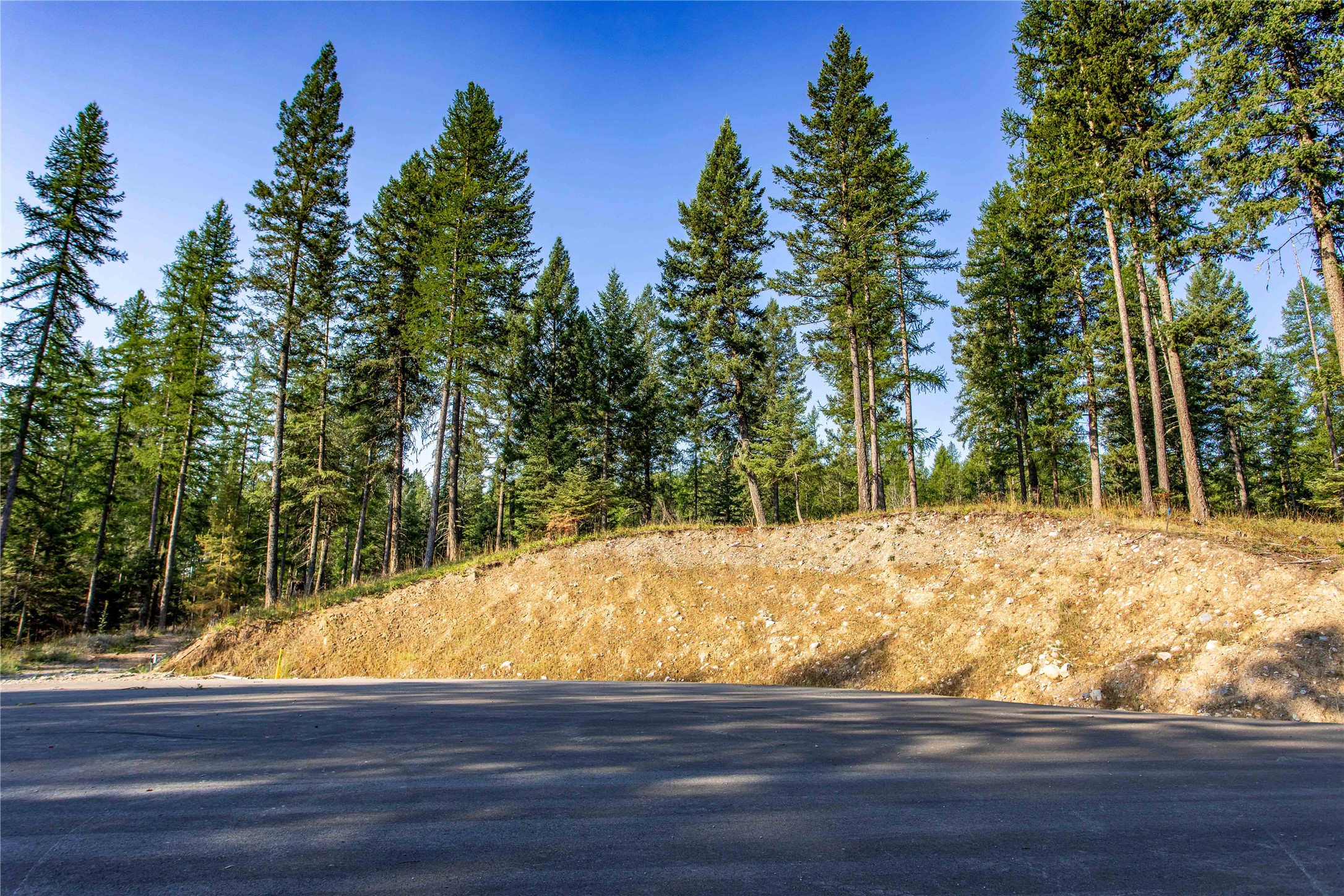 52 Meadow Mint Way Property Photo 4