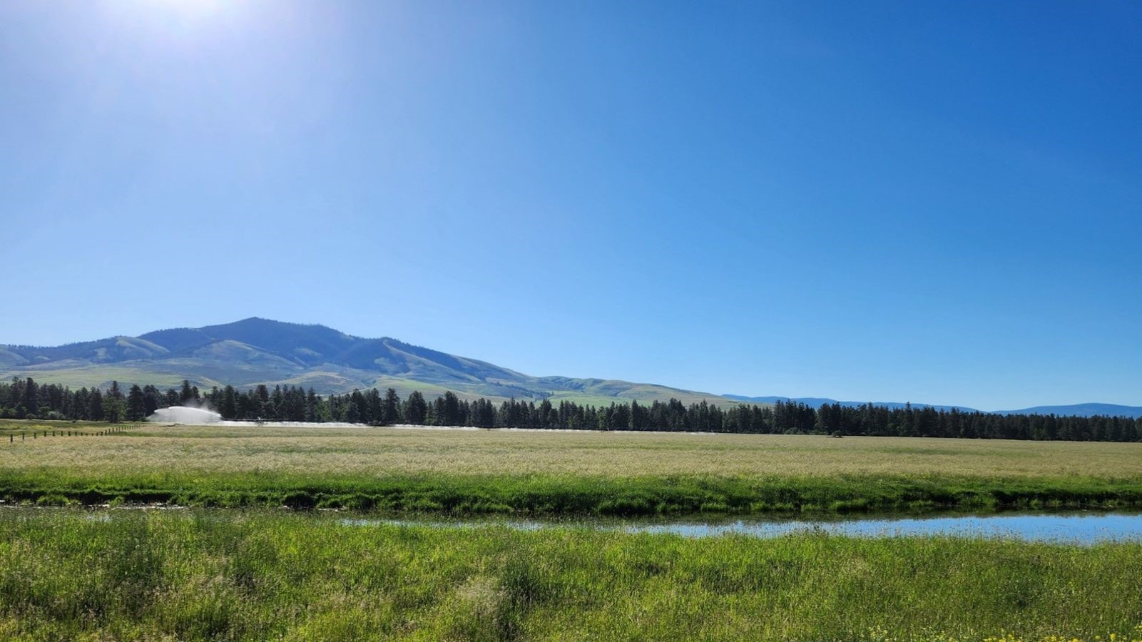 Lot 1 Highway 93 S Property Photo 2