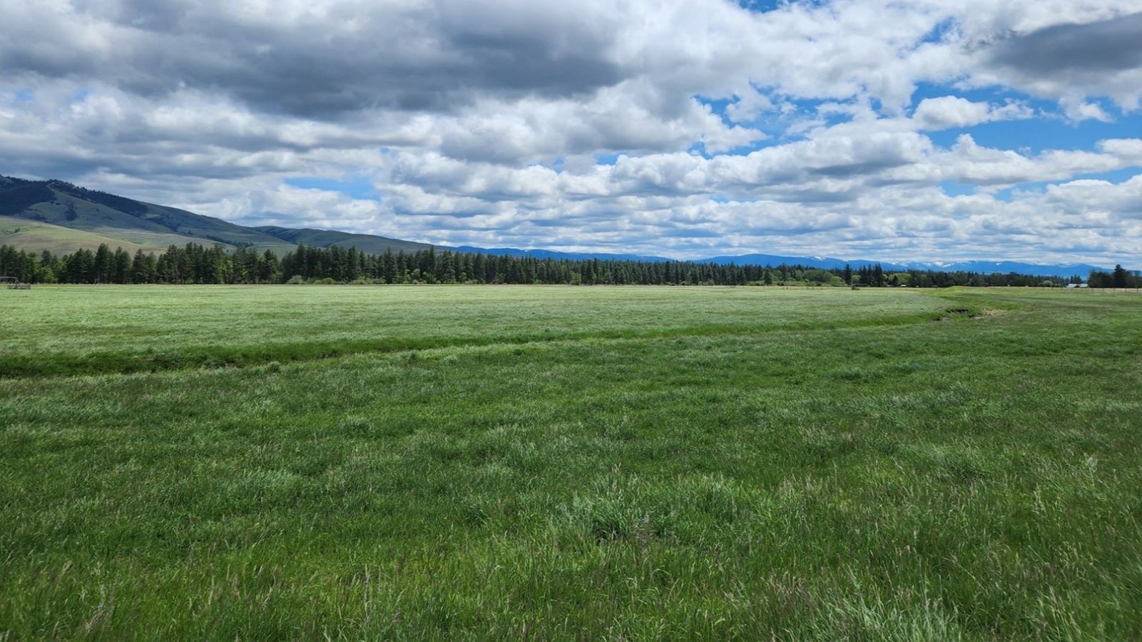 Lot 1 Highway 93 S Property Photo 6