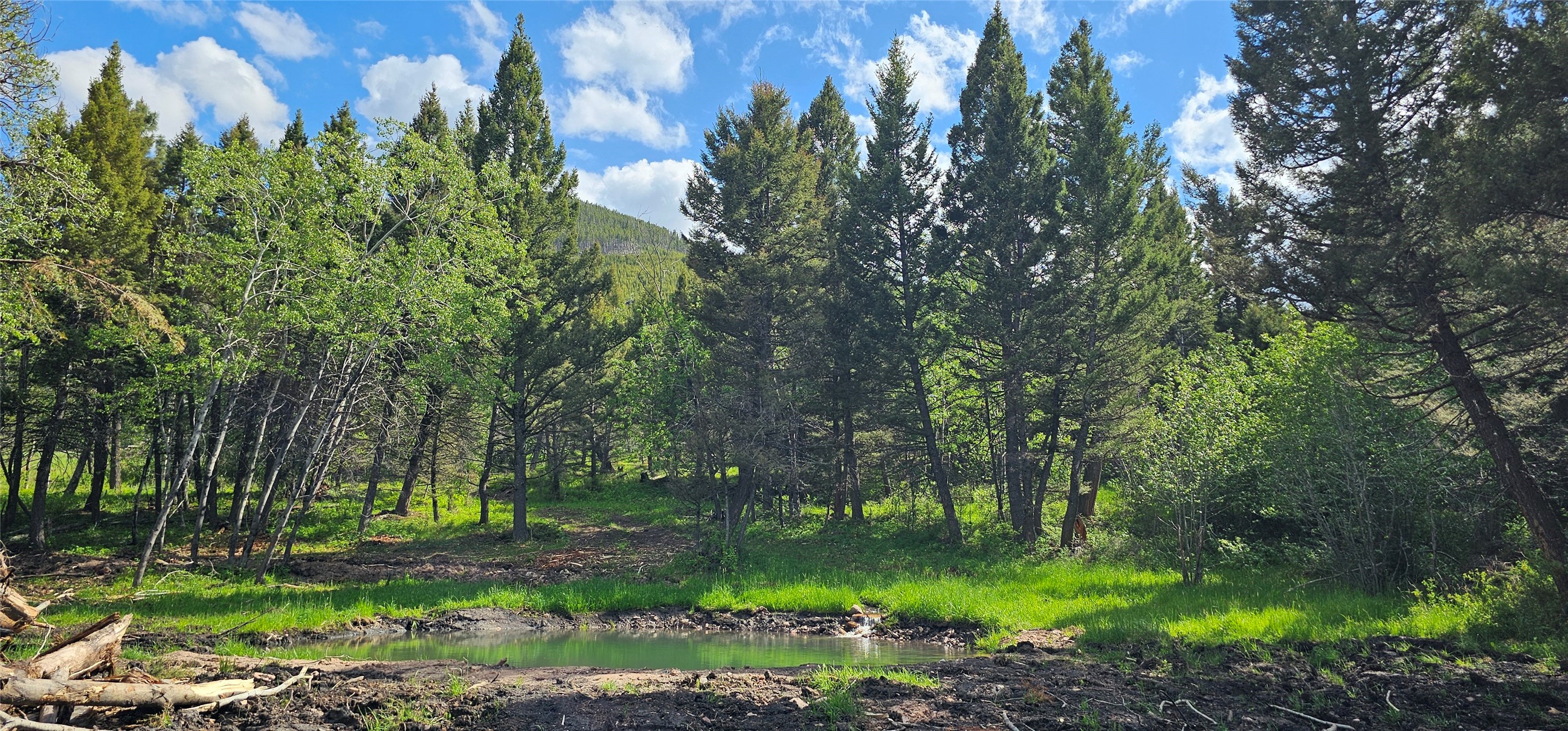 Tbd Hall Creek Tract Property Photo