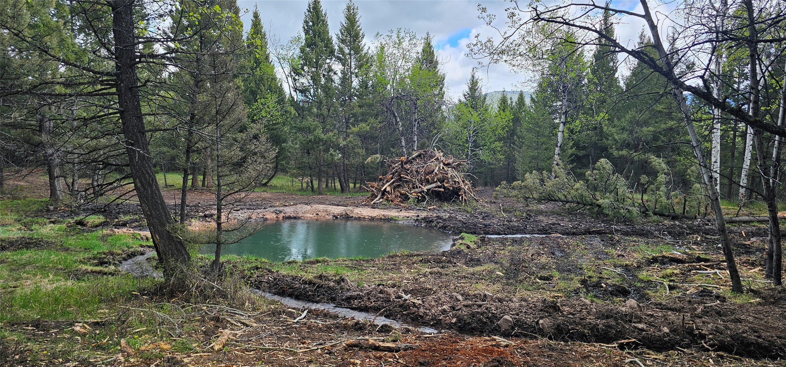 Tbd Hall Creek Tract Property Photo 2
