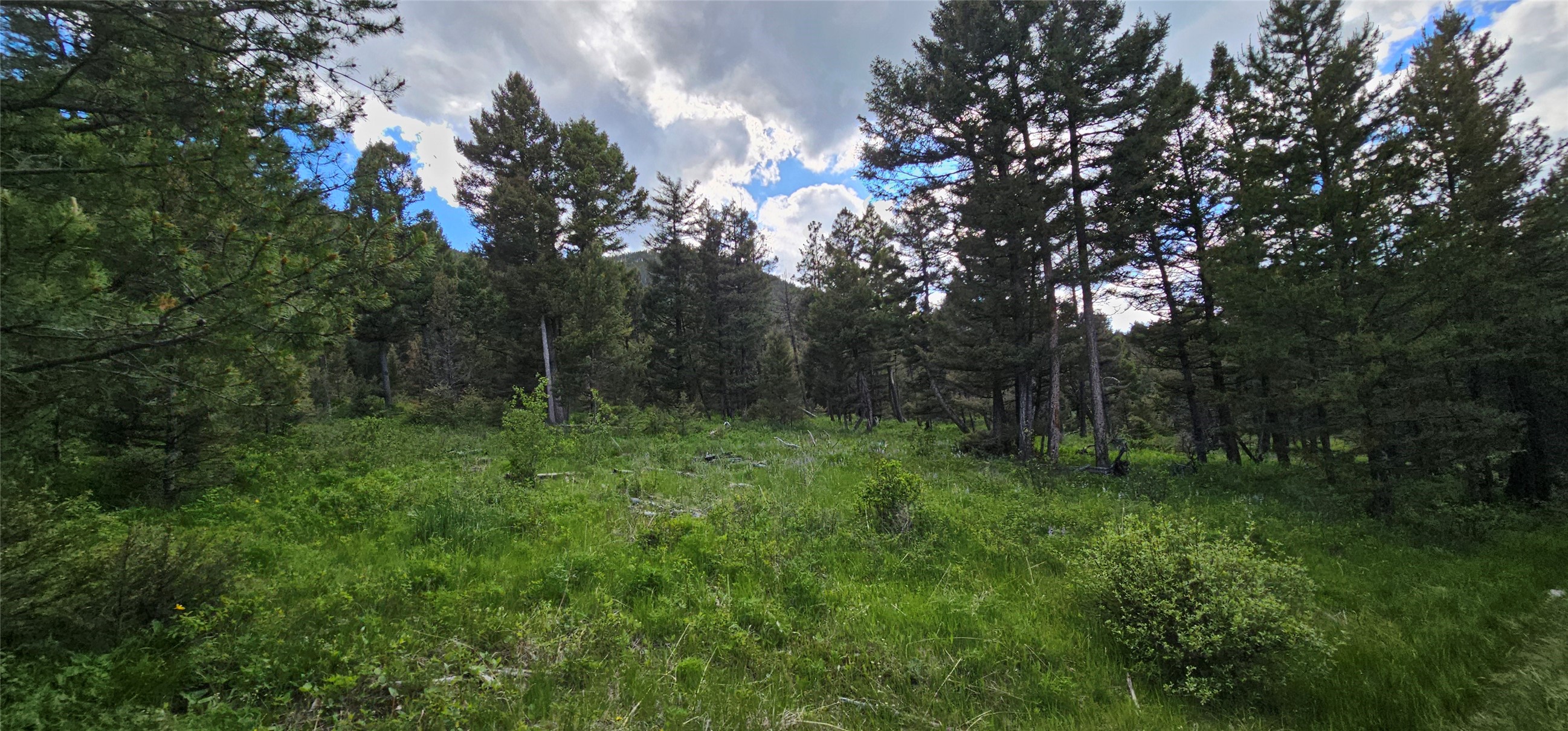 Tbd Hall Creek Tract Property Photo 5