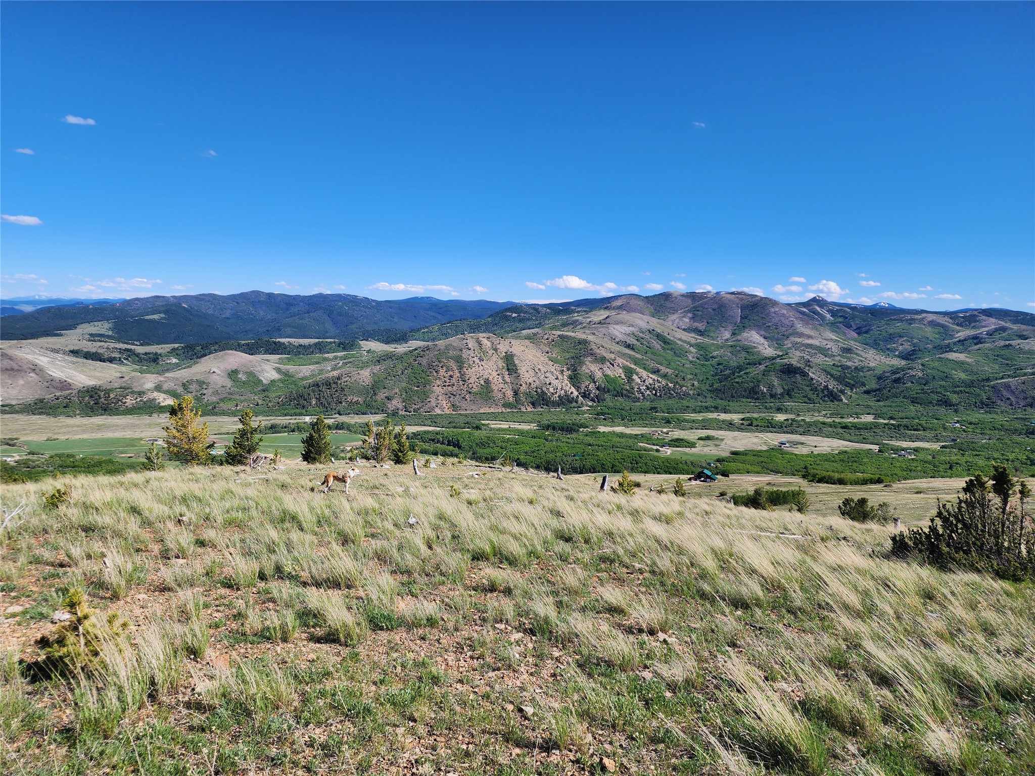 Nhn Alpha Lode & Alpha Fraction Lode, Alpha Trail Property Photo 7