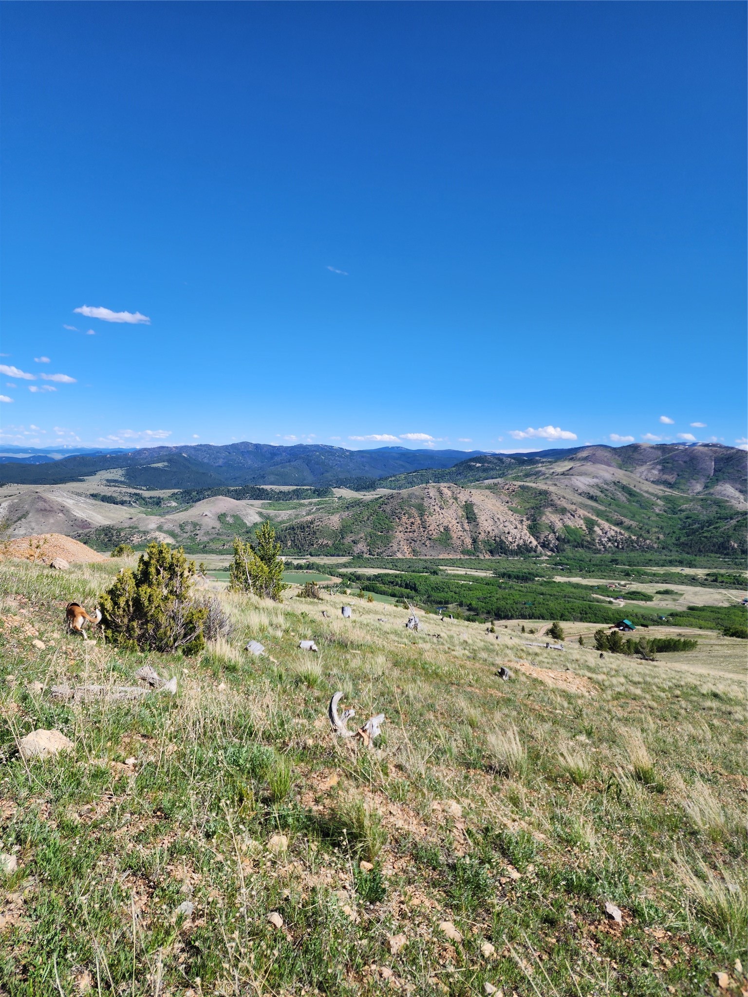 Nhn Alpha Lode & Alpha Fraction Lode, Alpha Trail Property Photo 16