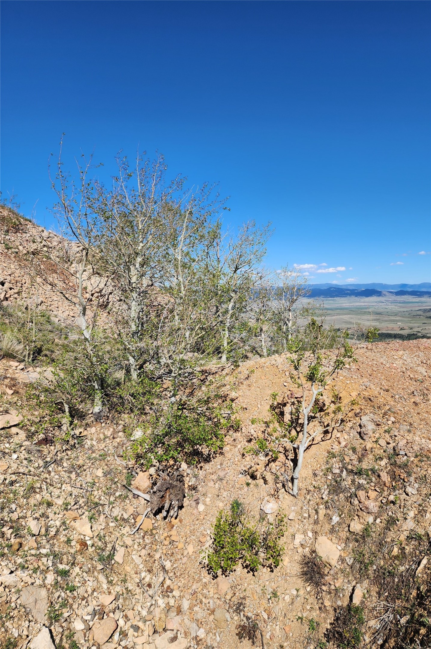 Nhn Alpha Lode & Alpha Fraction Lode, Alpha Trail Property Photo 19