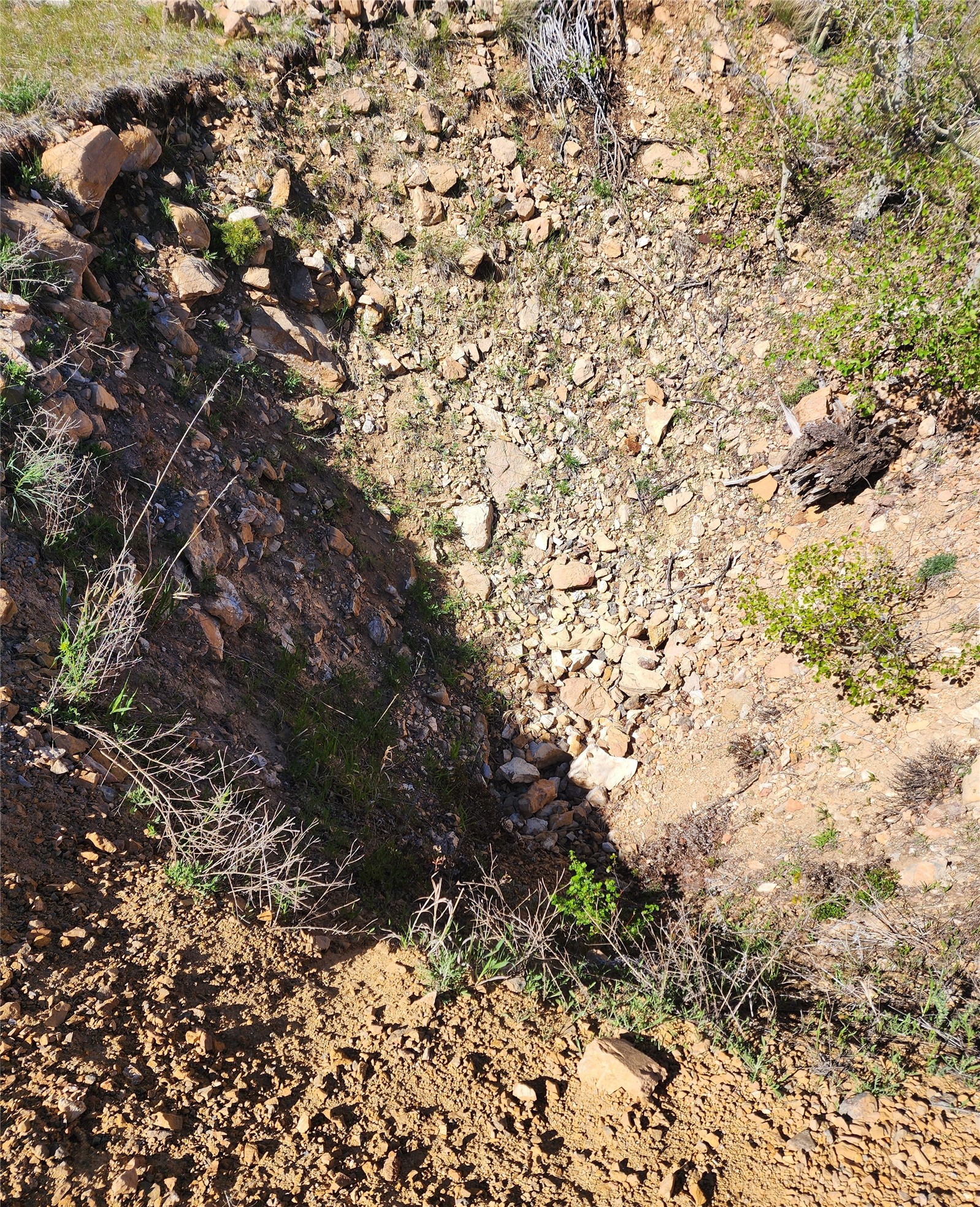 Nhn Alpha Lode & Alpha Fraction Lode, Alpha Trail Property Photo 20