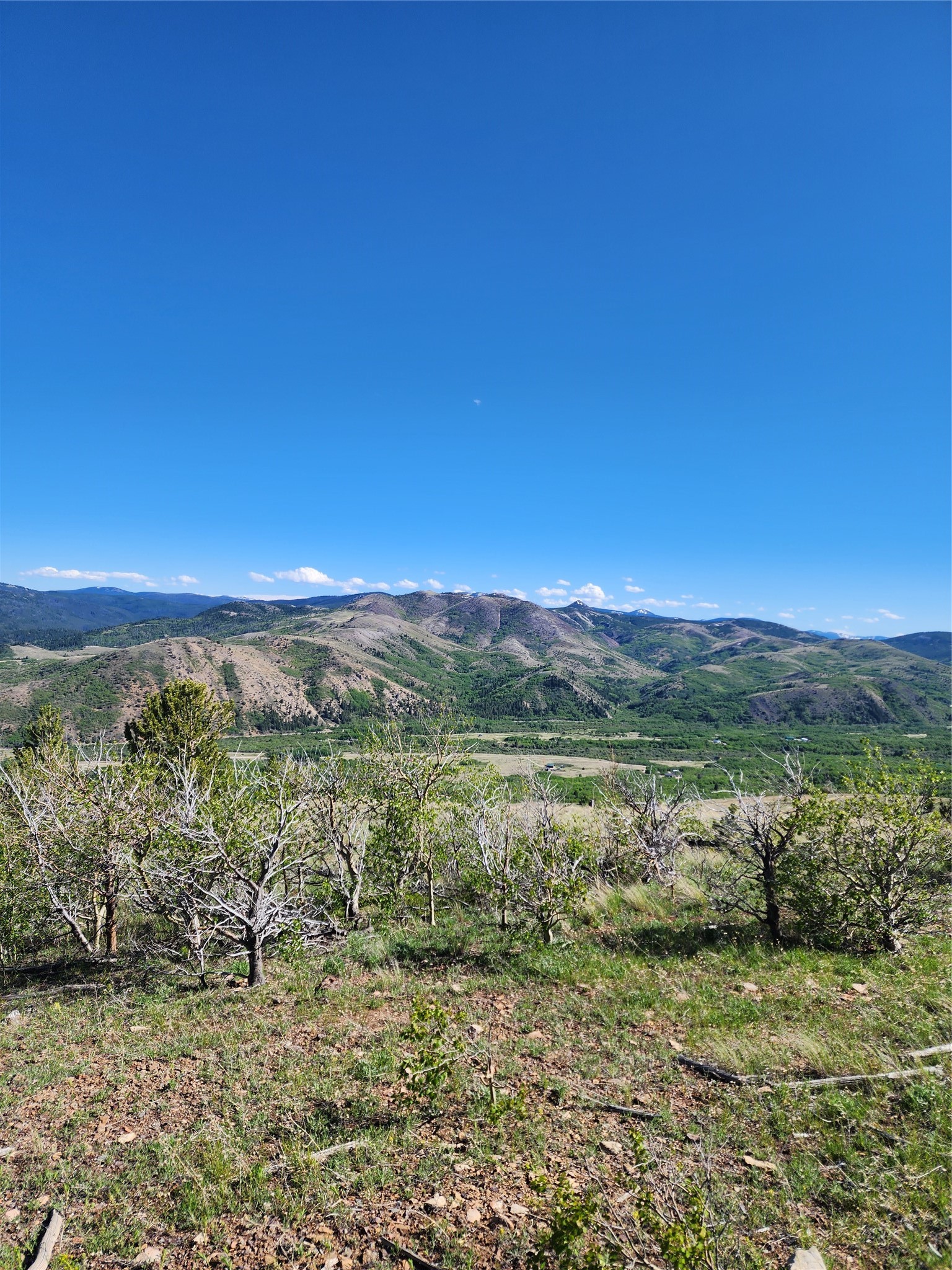 Nhn Alpha Lode & Alpha Fraction Lode, Alpha Trail Property Photo 26