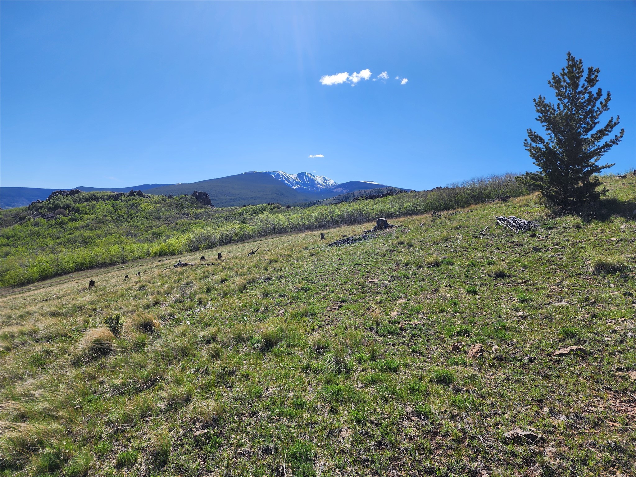 Nhn Alpha Lode & Alpha Fraction Lode, Alpha Trail Property Photo 27