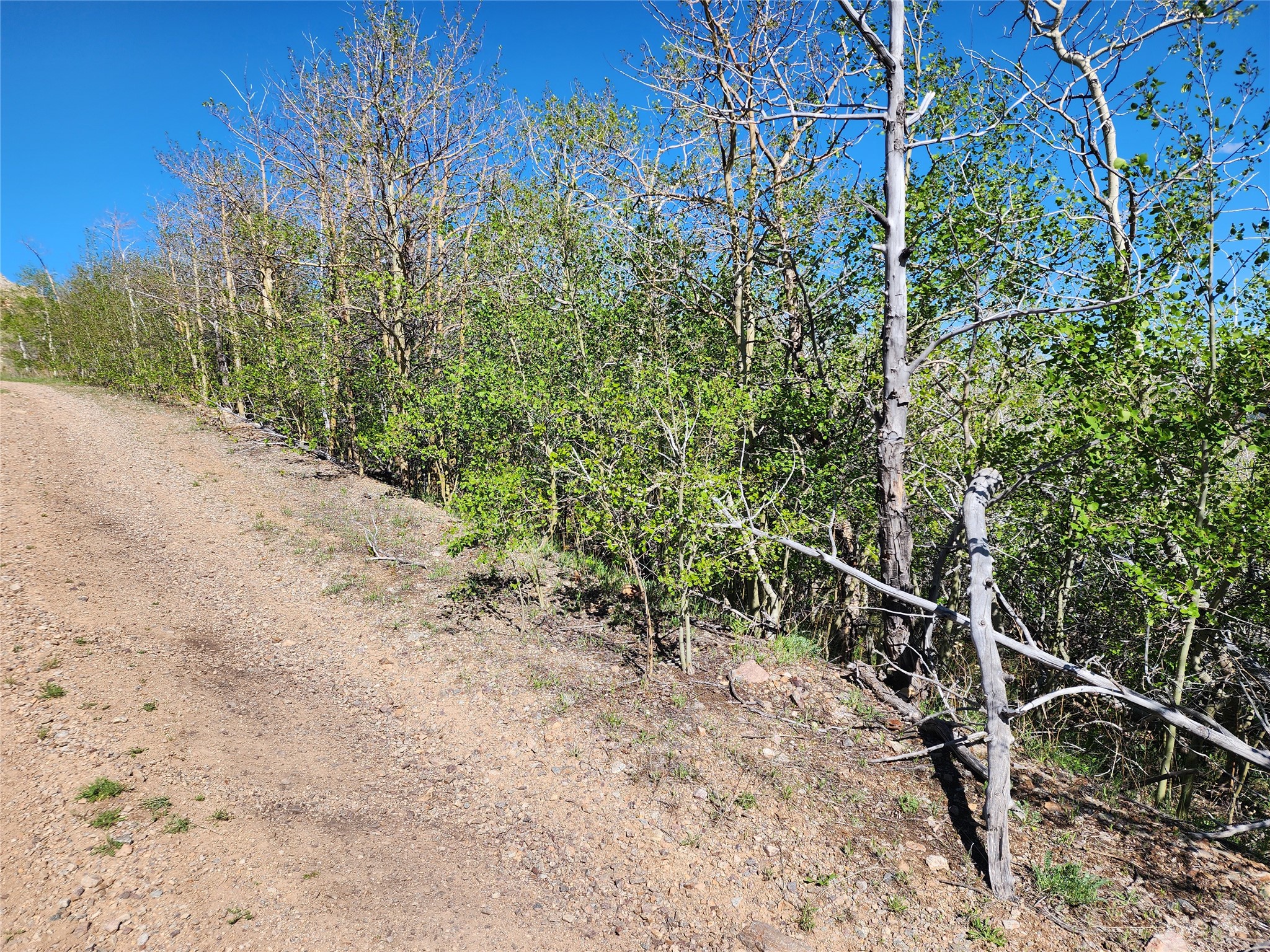 Nhn Alpha Lode & Alpha Fraction Lode, Alpha Trail Property Photo 31