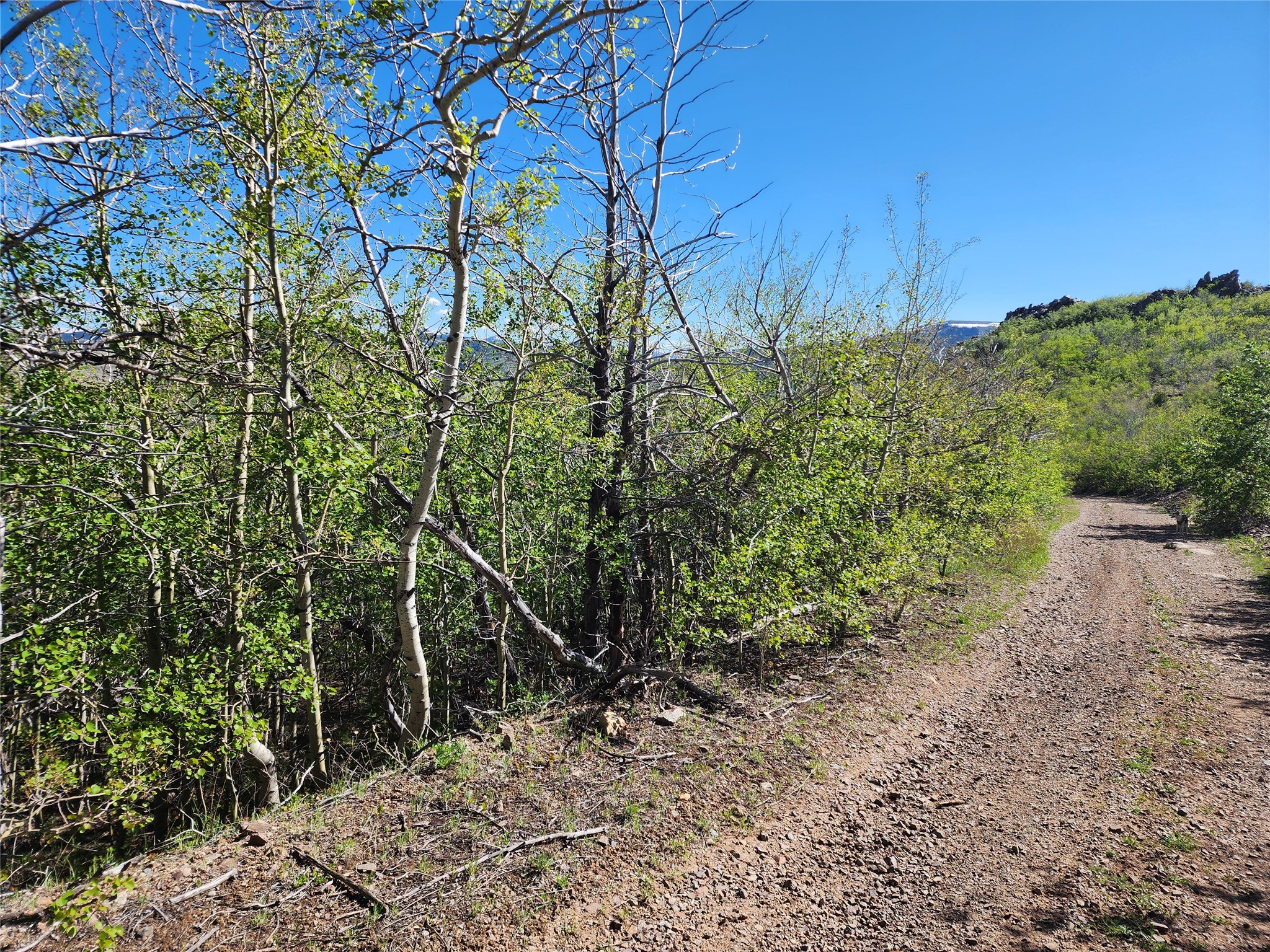 Nhn Alpha Lode & Alpha Fraction Lode, Alpha Trail Property Photo 33