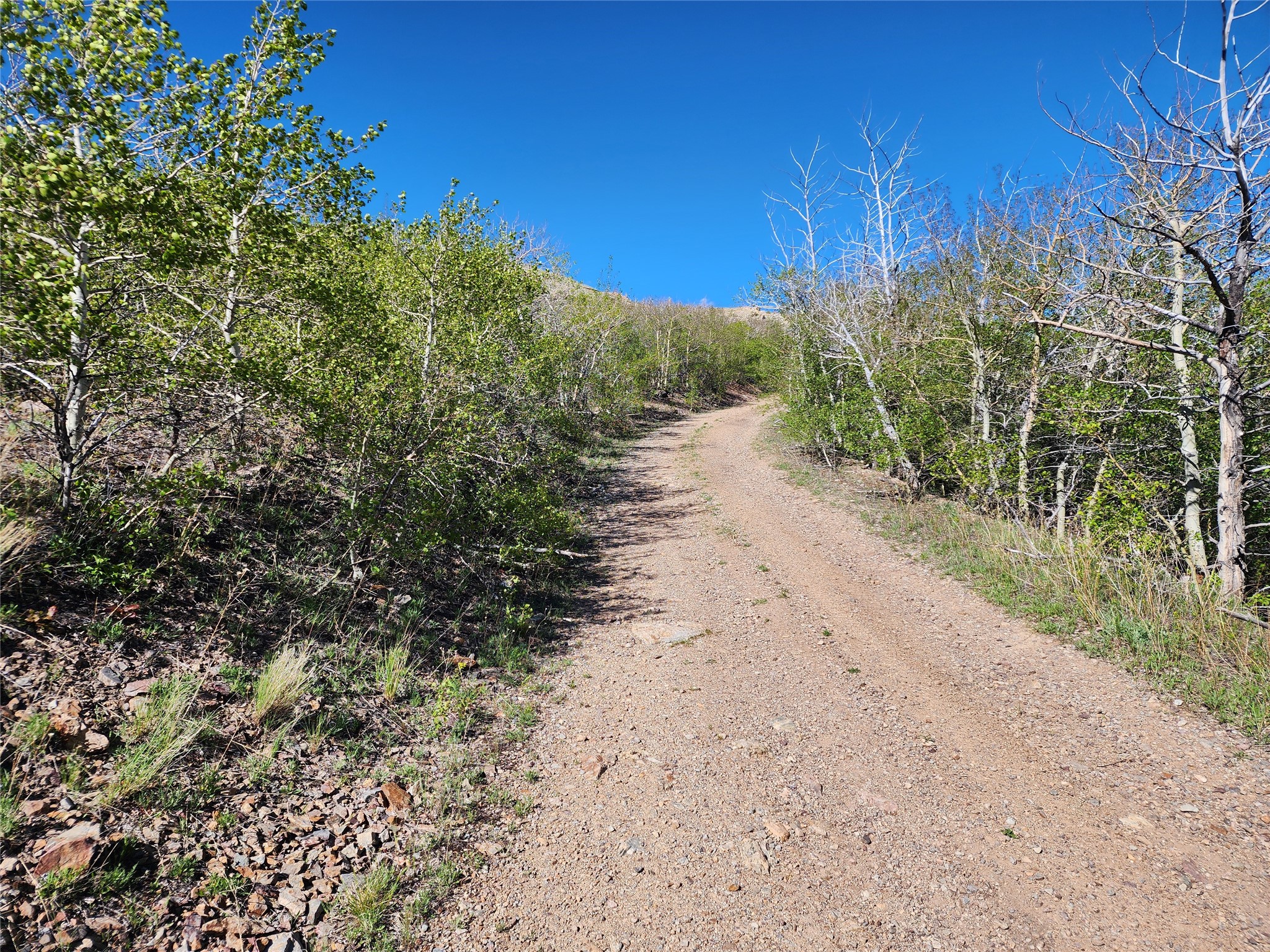 Nhn Alpha Lode & Alpha Fraction Lode, Alpha Trail Property Photo 34