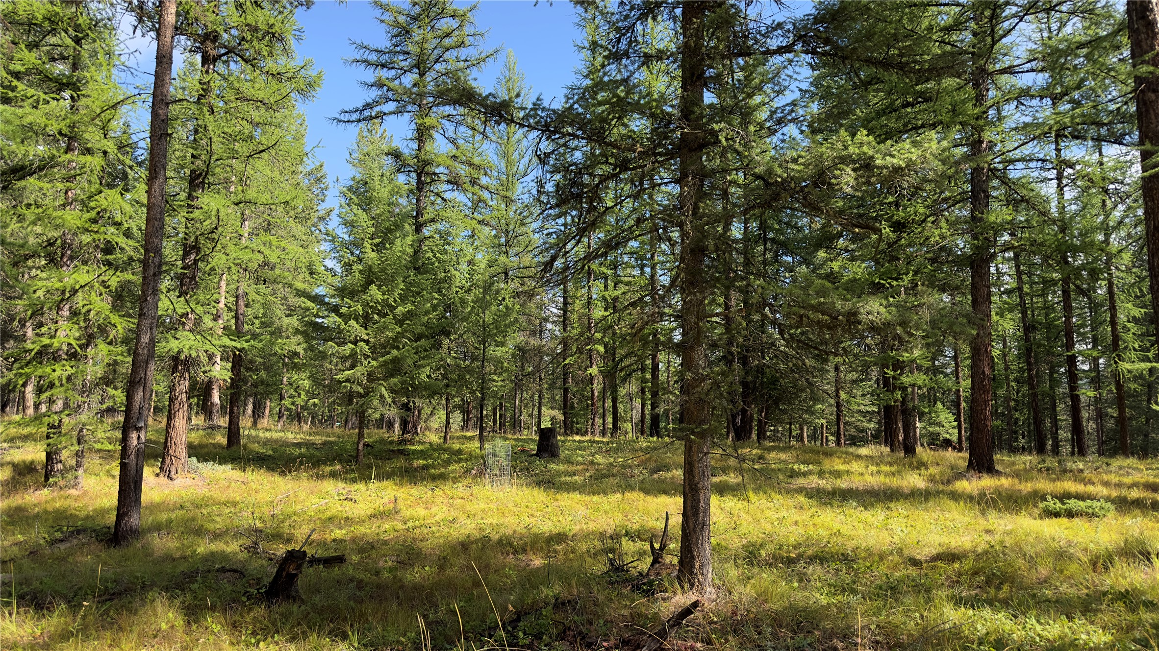 Nhn Forest Loop Property Photo 1