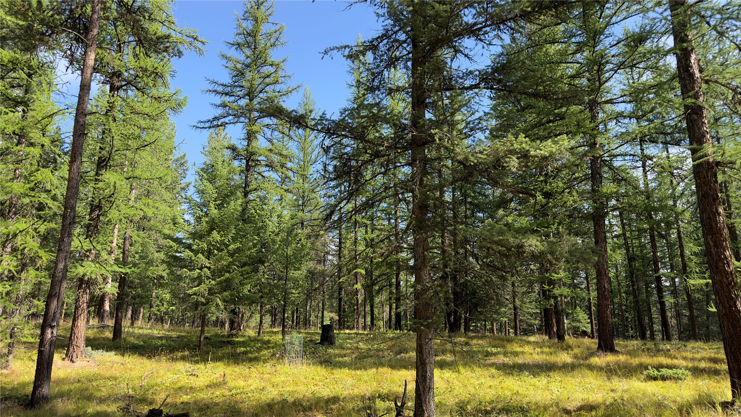 Nhn Forest Loop Property Photo 2
