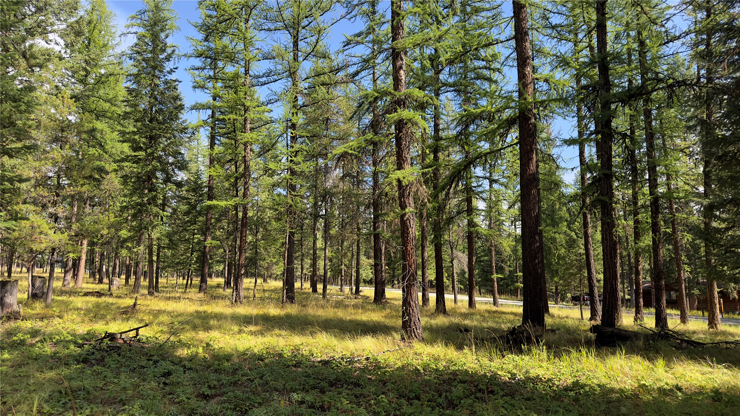 Nhn Forest Loop Property Photo 3